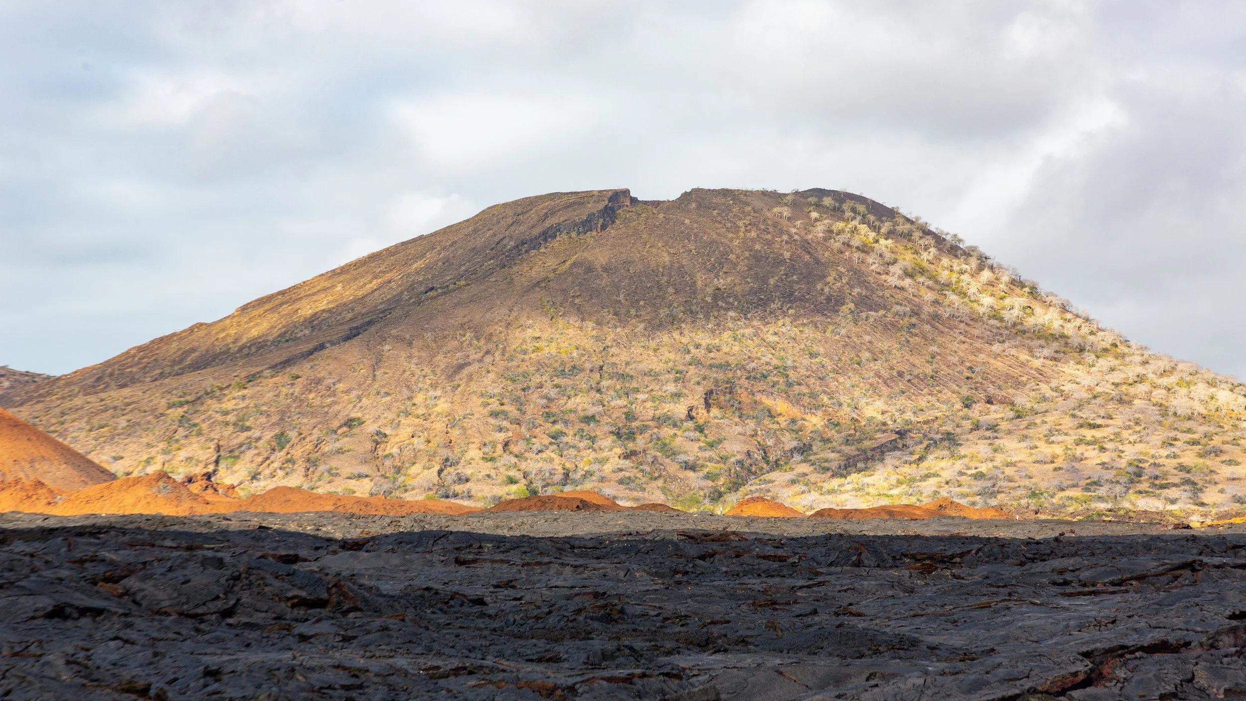  One of numerous cinder cones on the east coast of Santiago Island 