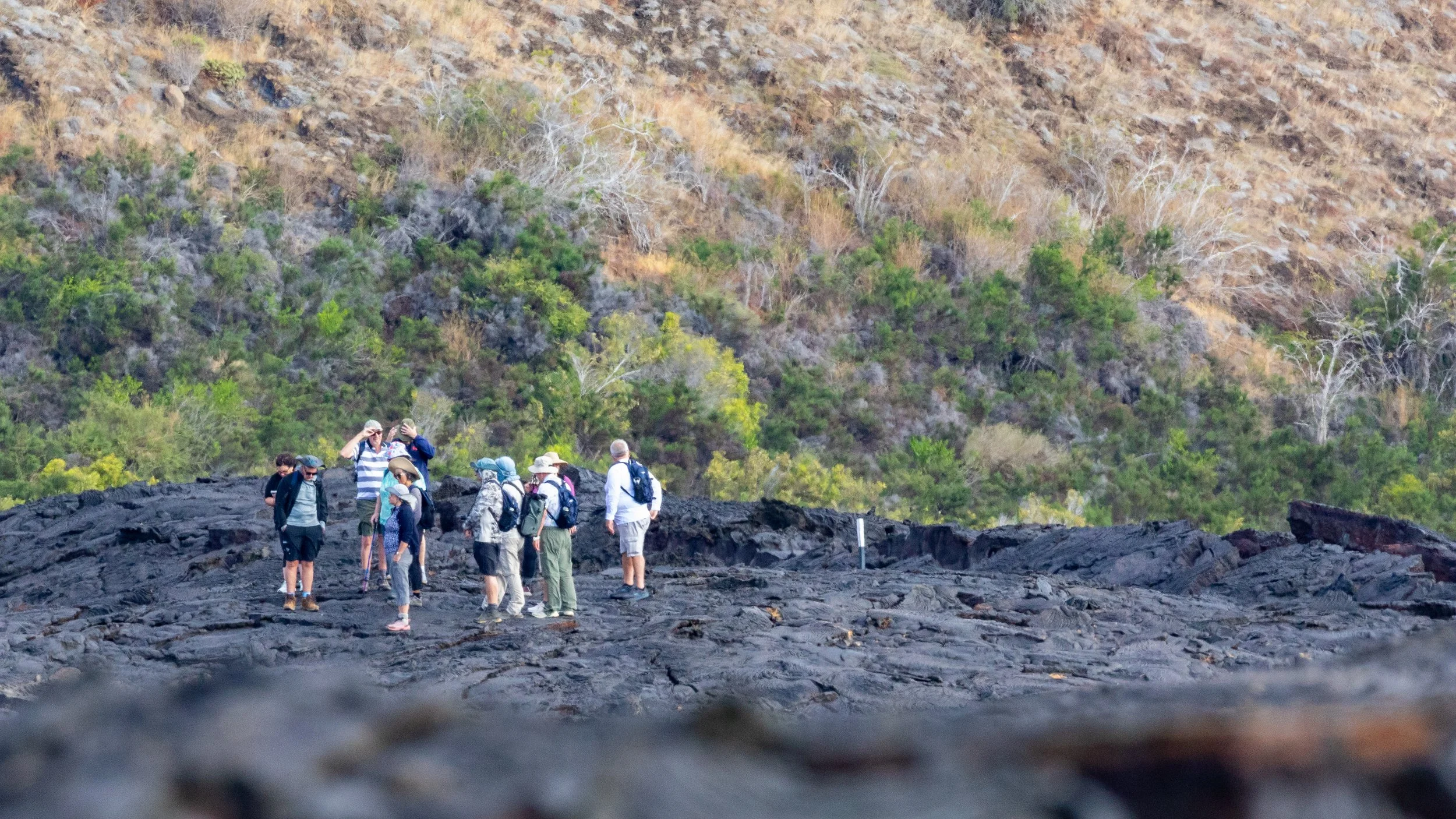  One of the other tourist groups exploring the smooth pahoehoe lava 