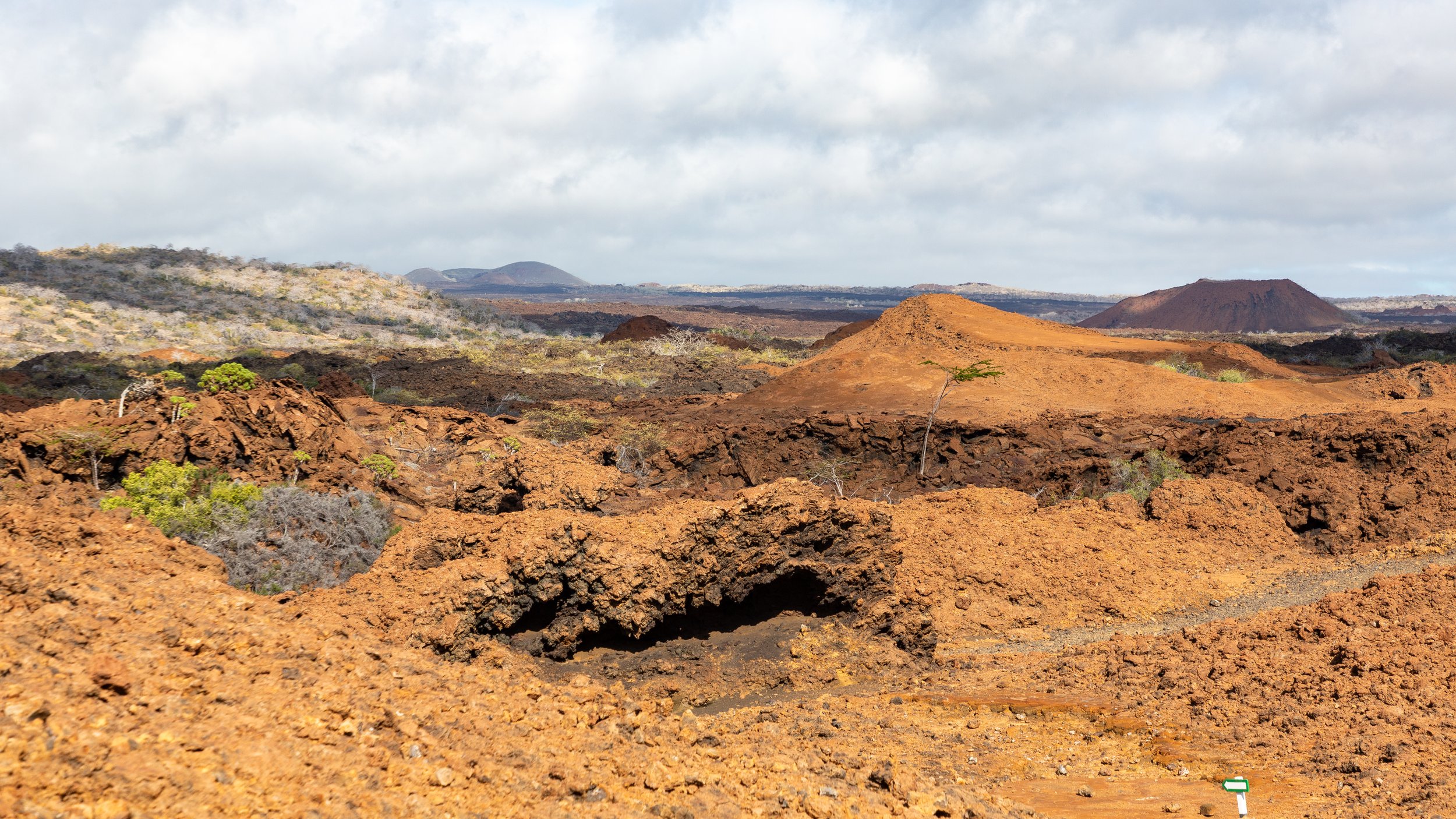  Surveying the varied uninhabited terrain 
