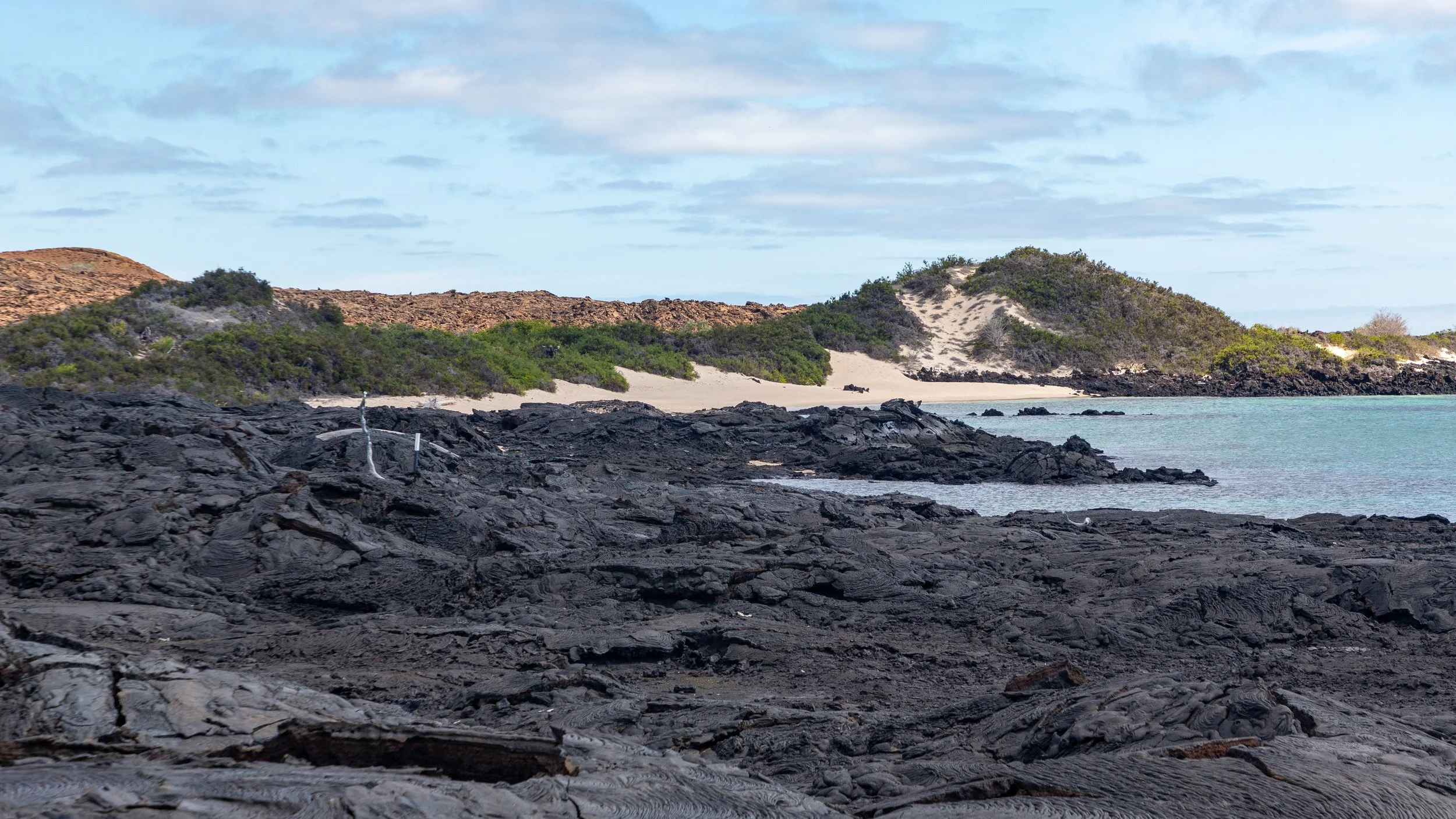  Looking back on the beach before we made our way back to the tender 