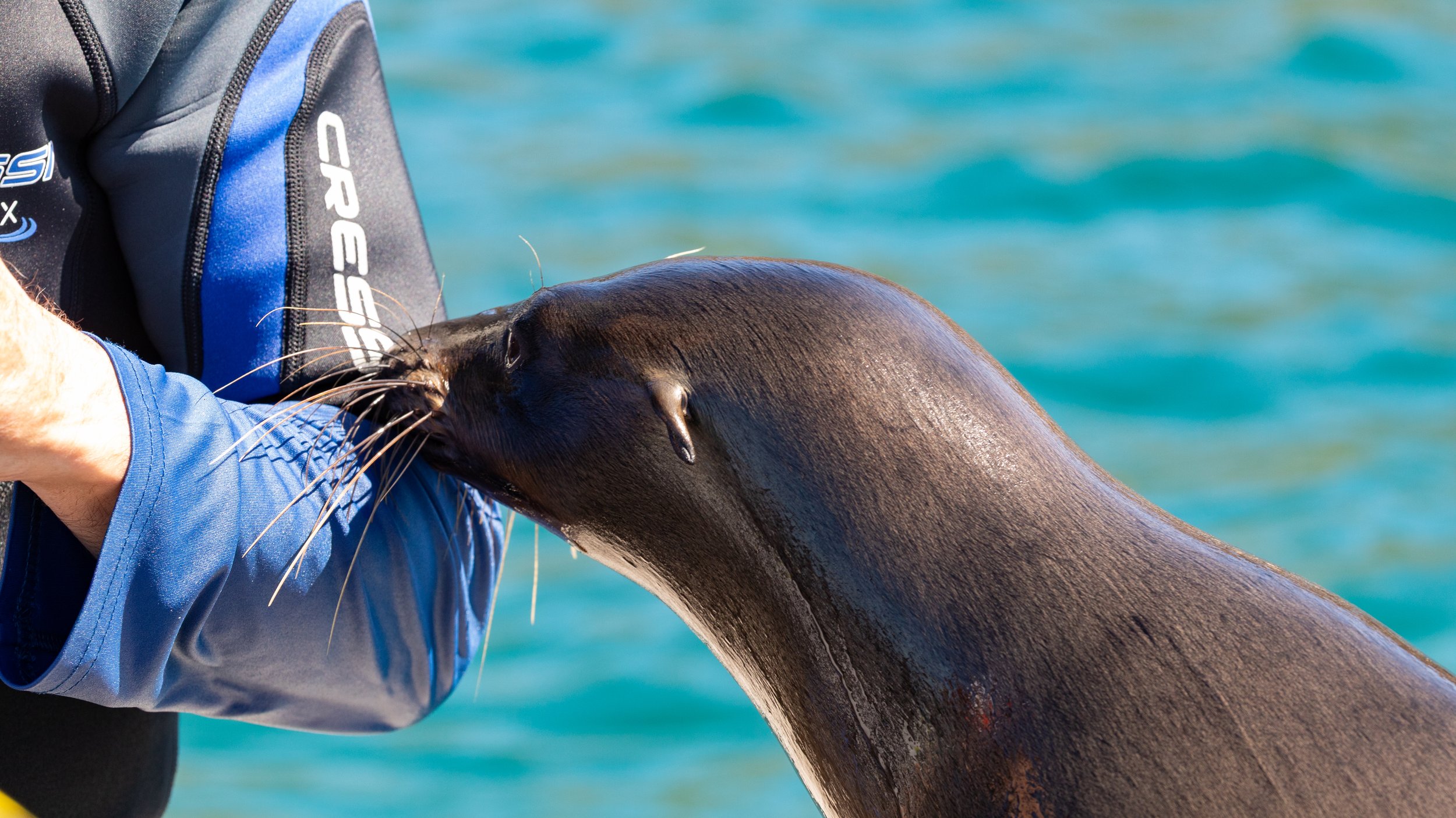  His interest was not limited to just the boat, as he wanted to get up close and personal with us all 