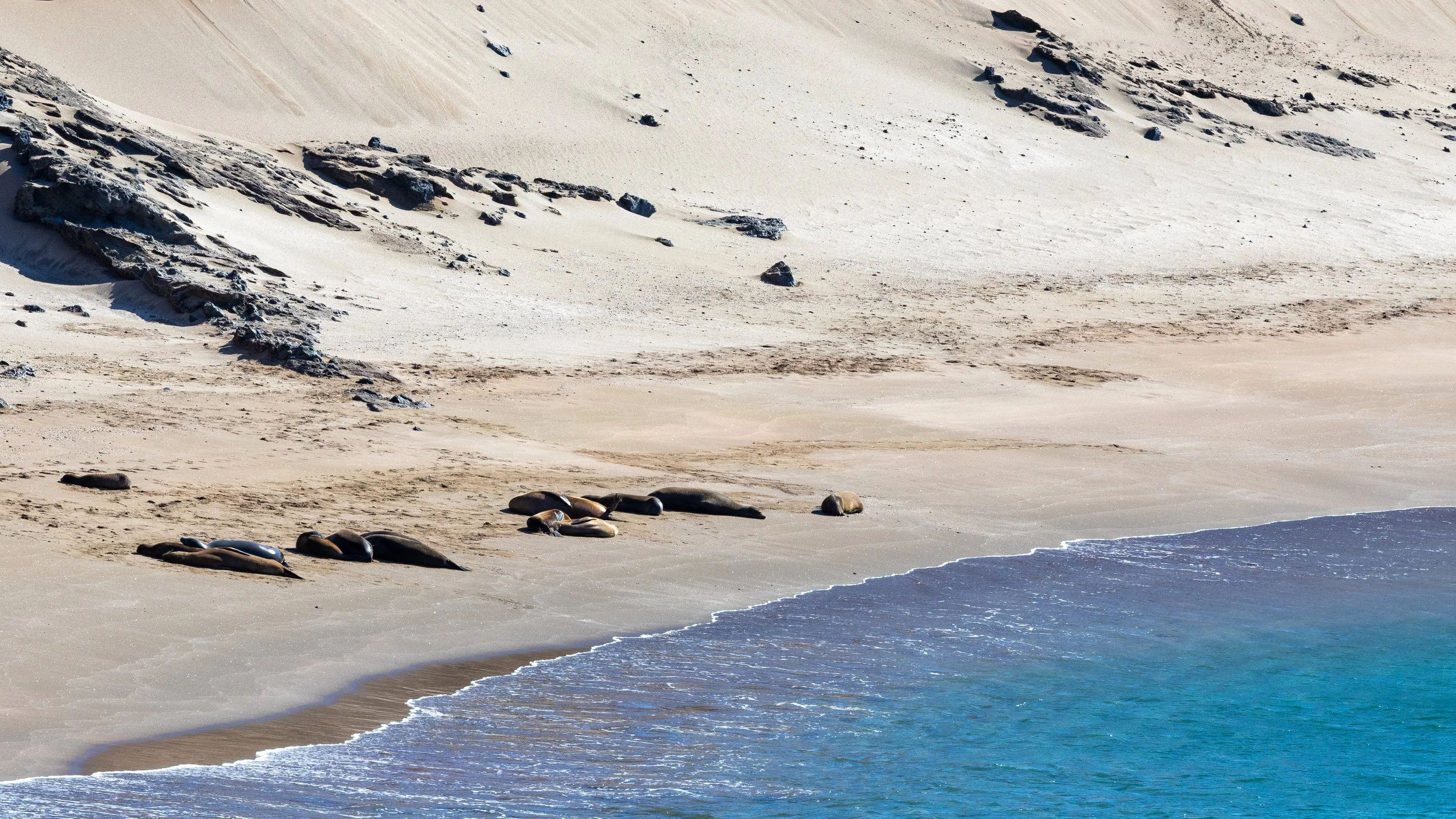  Cruising by the beach before our landing 