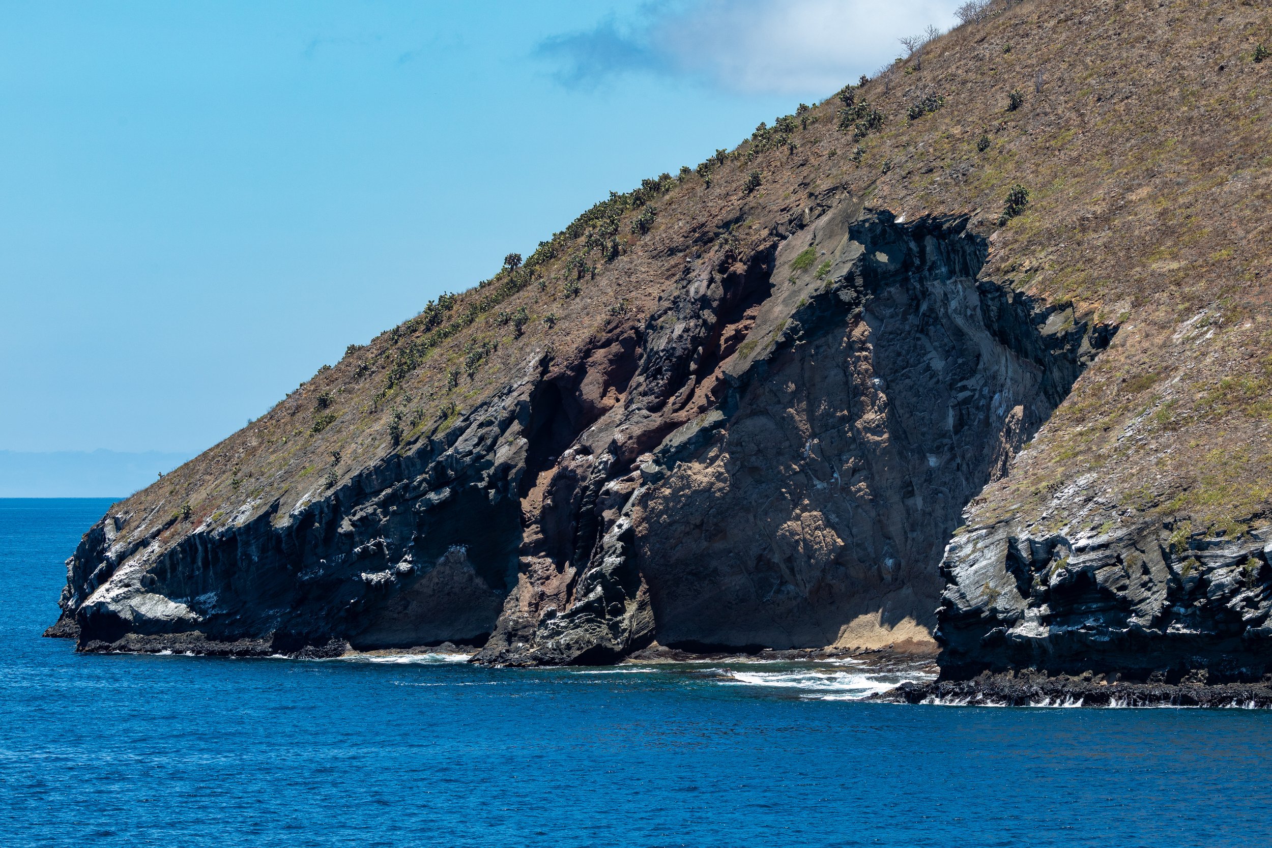 Circling the island home to many birds 