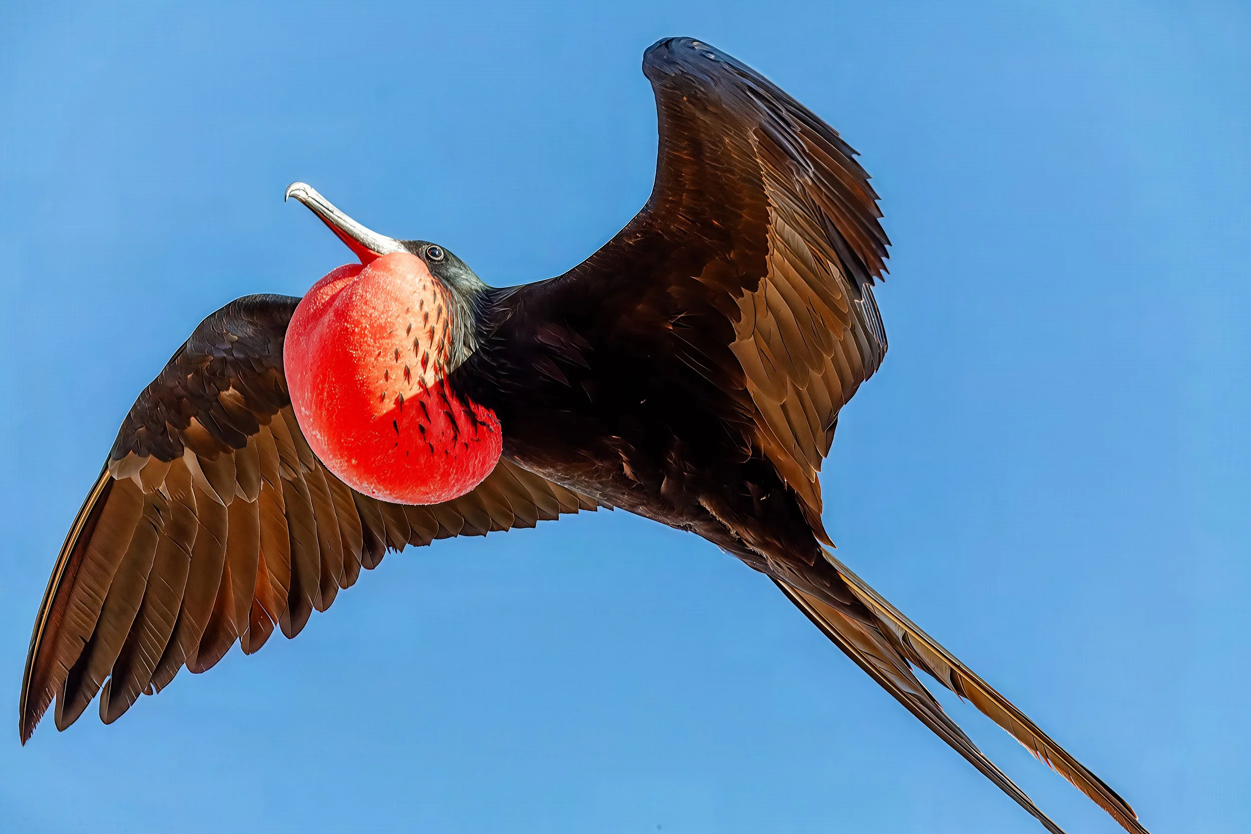  An award worthy photo 