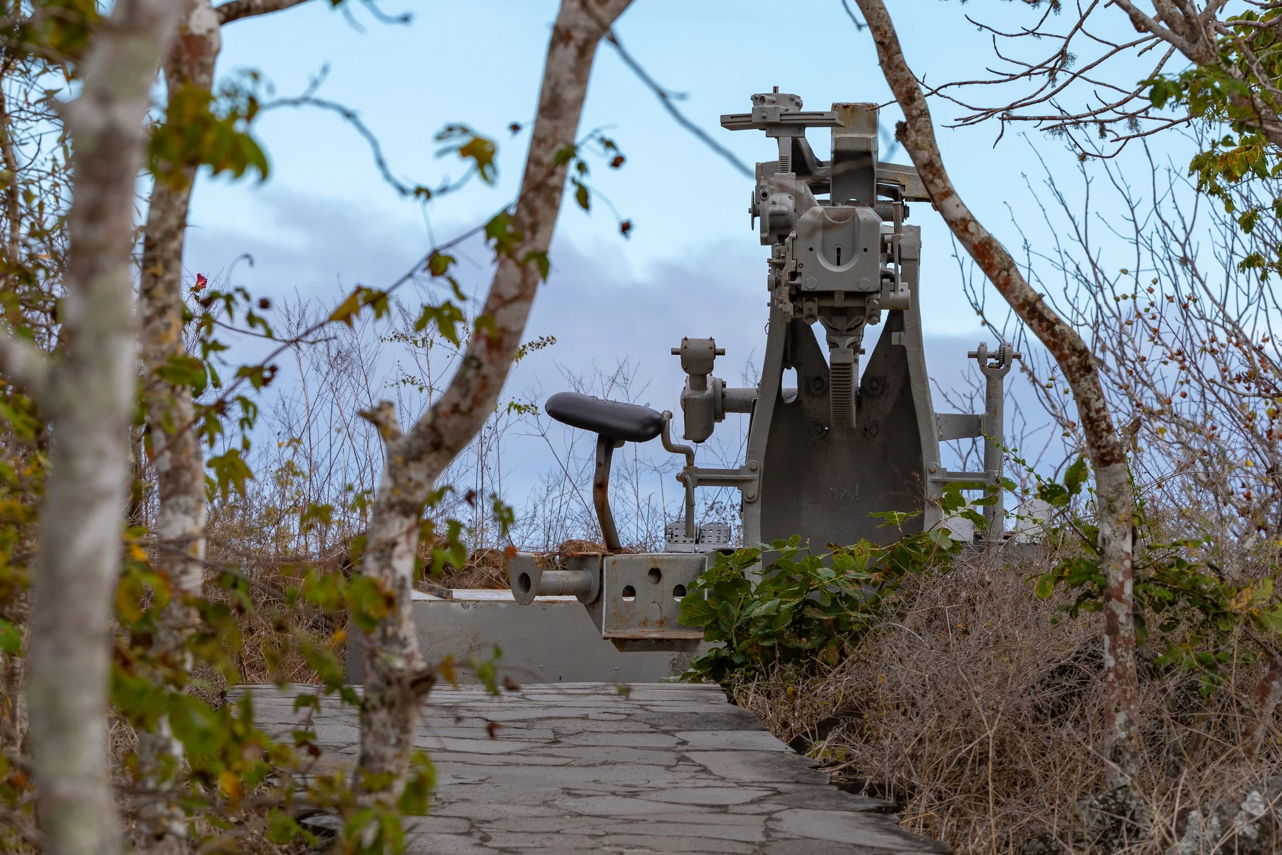  Some old coastal defenses 