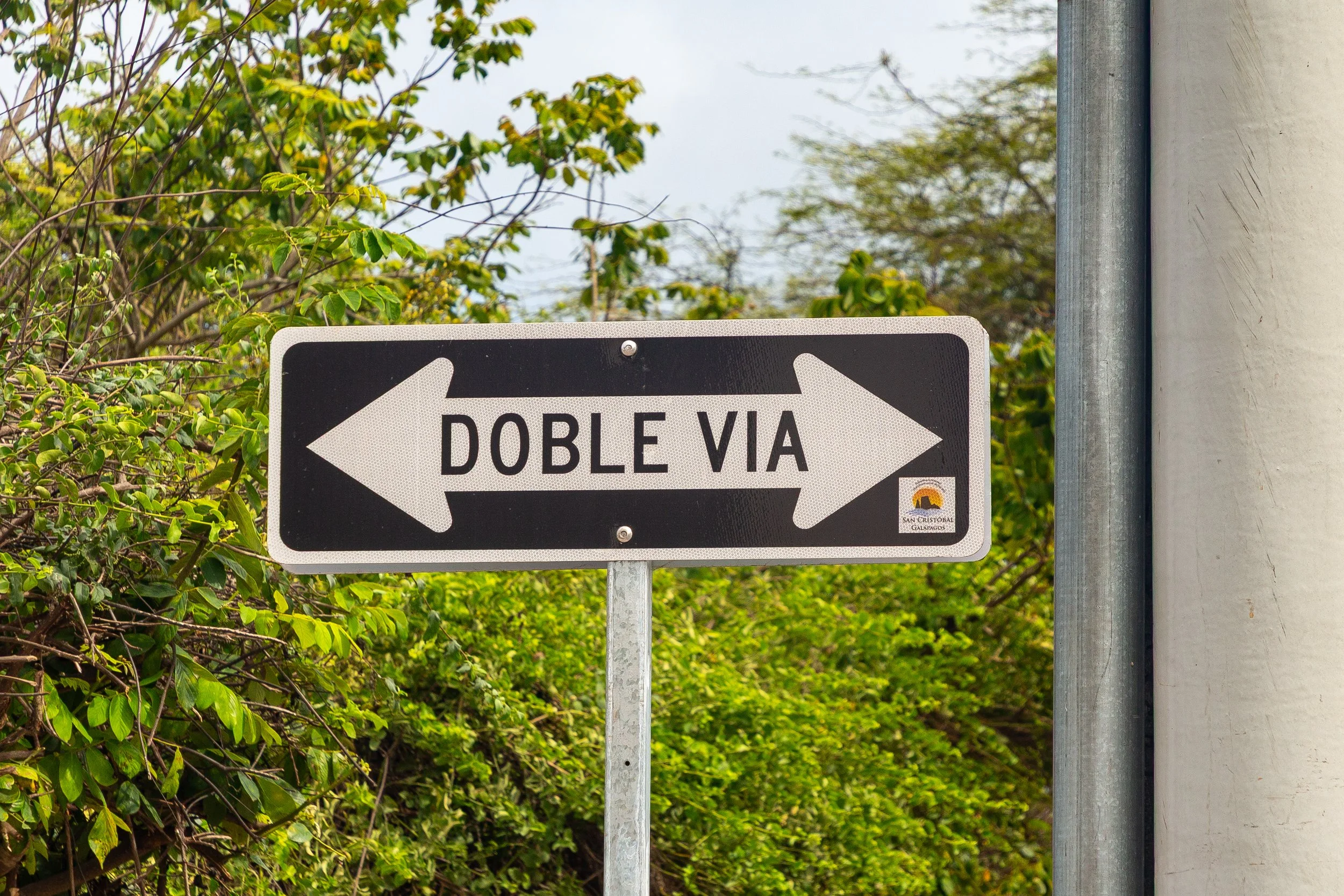  The opposite of a one way sign is apparently necessary here 