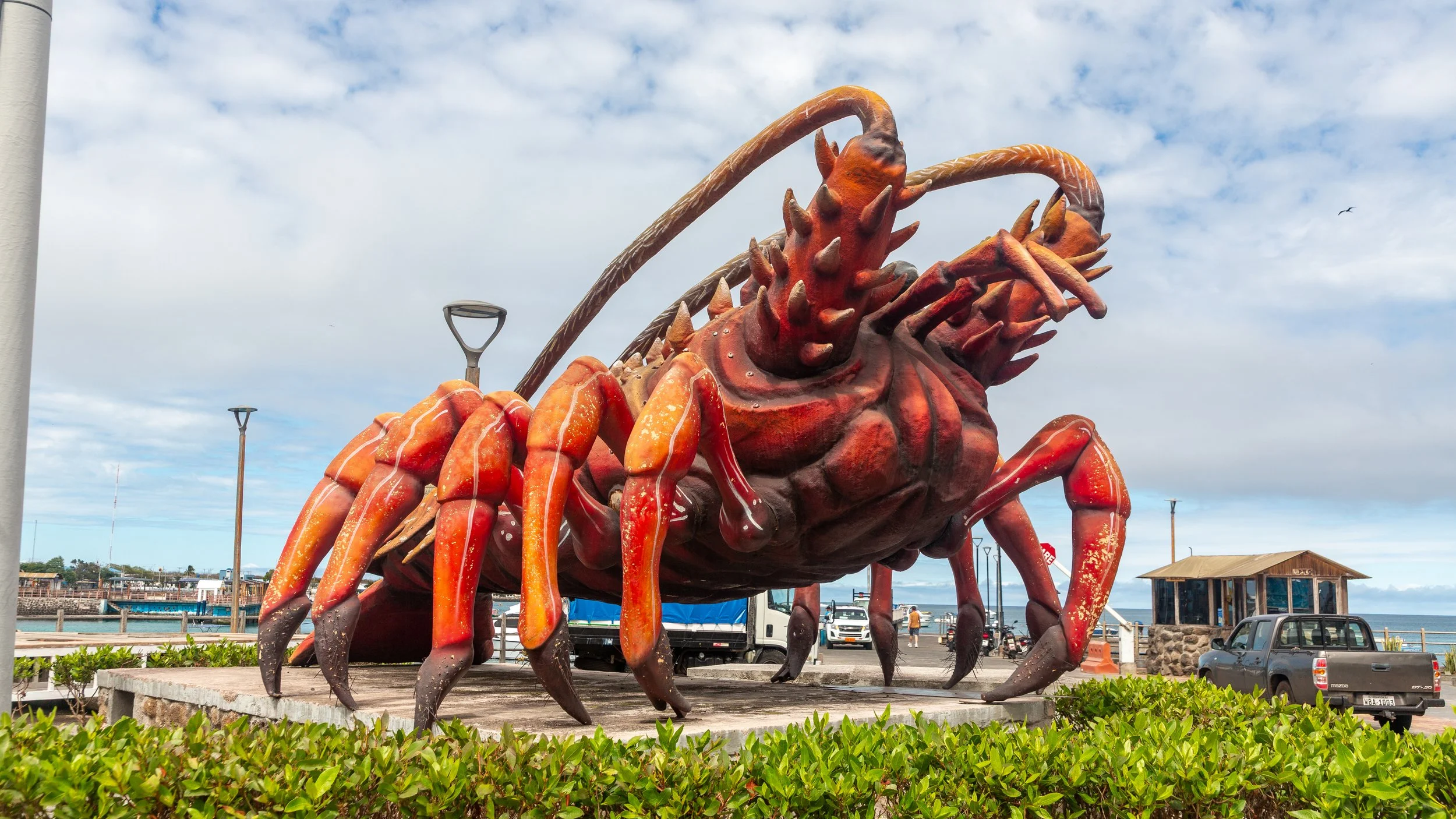  Spiny lobster statue at San Cristobal harbour 