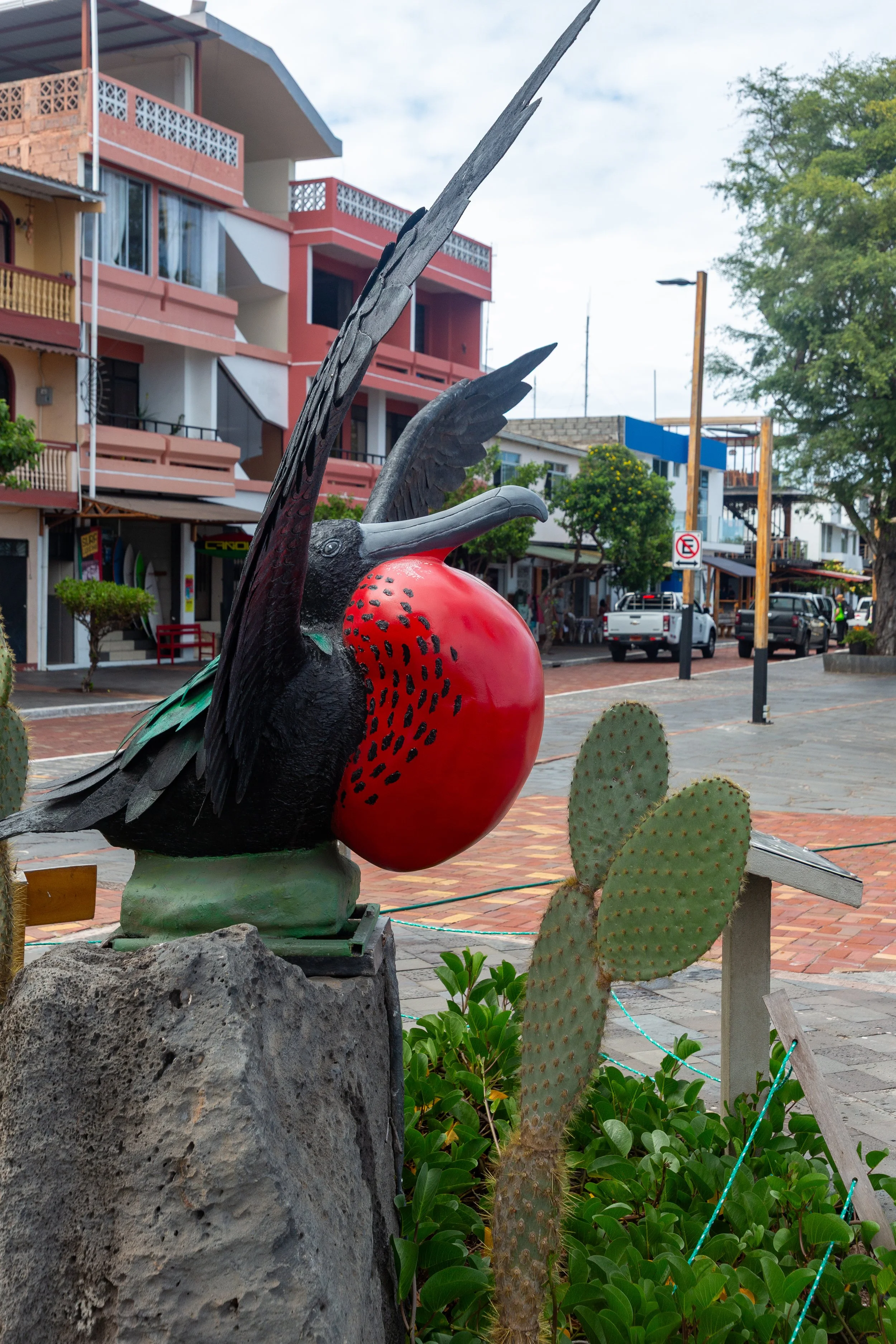  A statue of the male magnificent frigate bird almost as impressive as what we saw in person the day before 