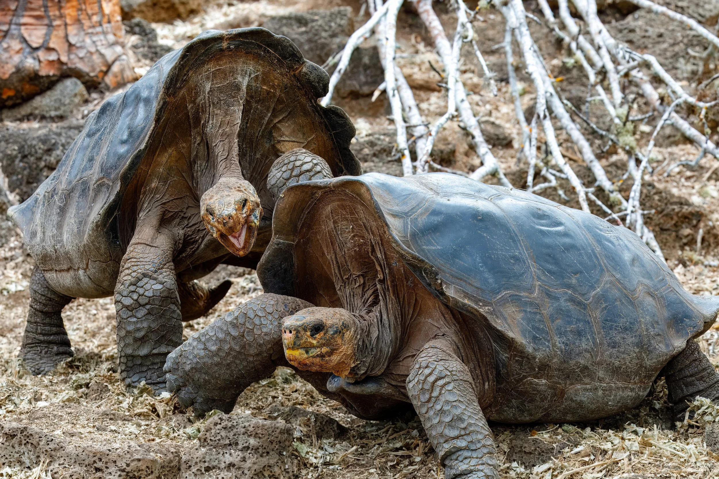  In the small quarters there were lots of interactions 