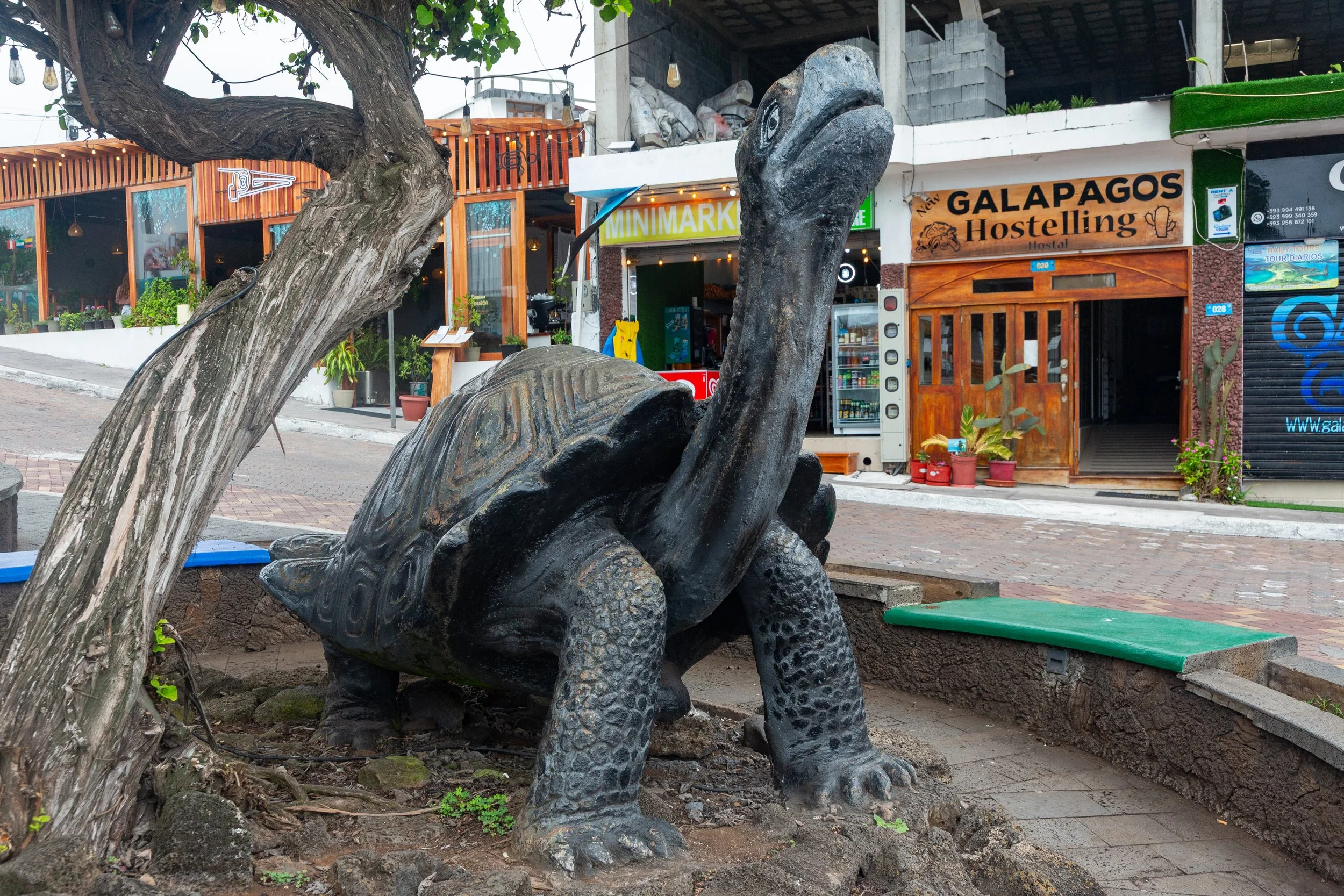  The main tourist street knows what drives the economy 