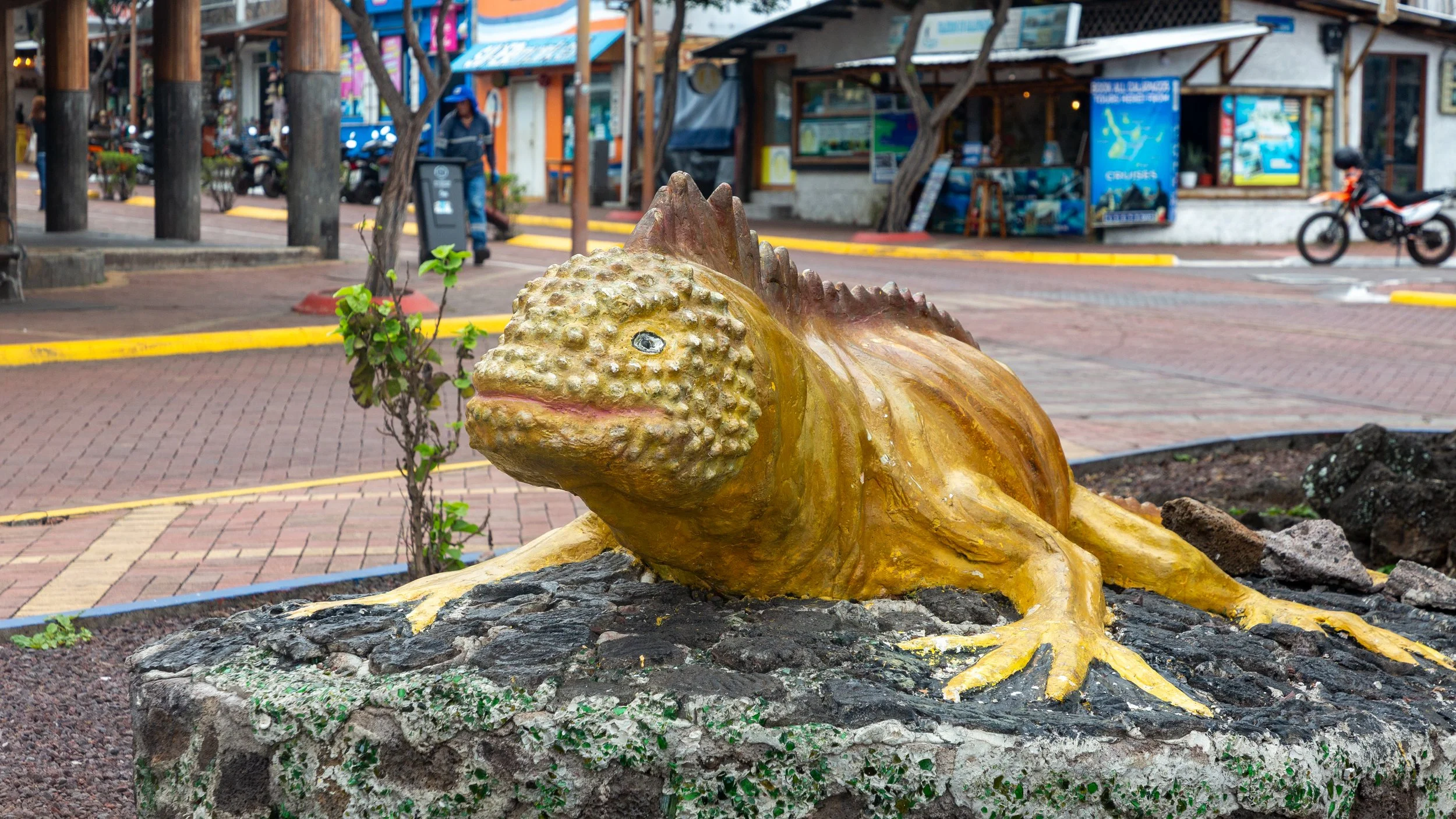  A reminder that iguanas are also important creatures 