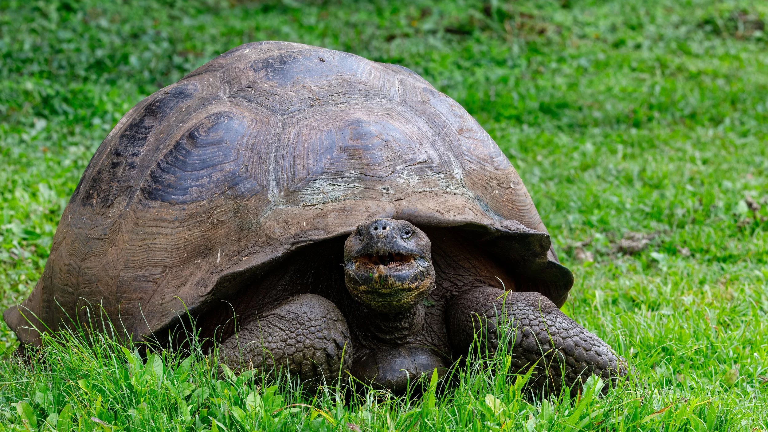  They did spent a lot of time eating and not doing a lot of movement 