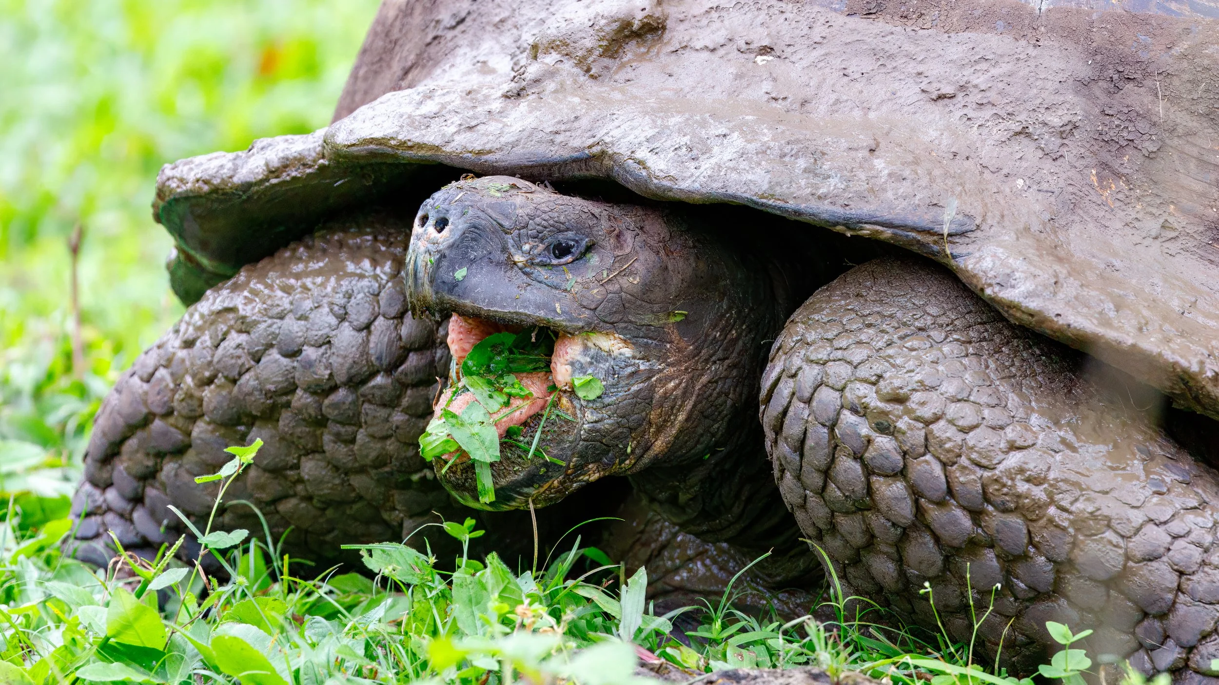  Apparently they could work a bit on their etiquette  