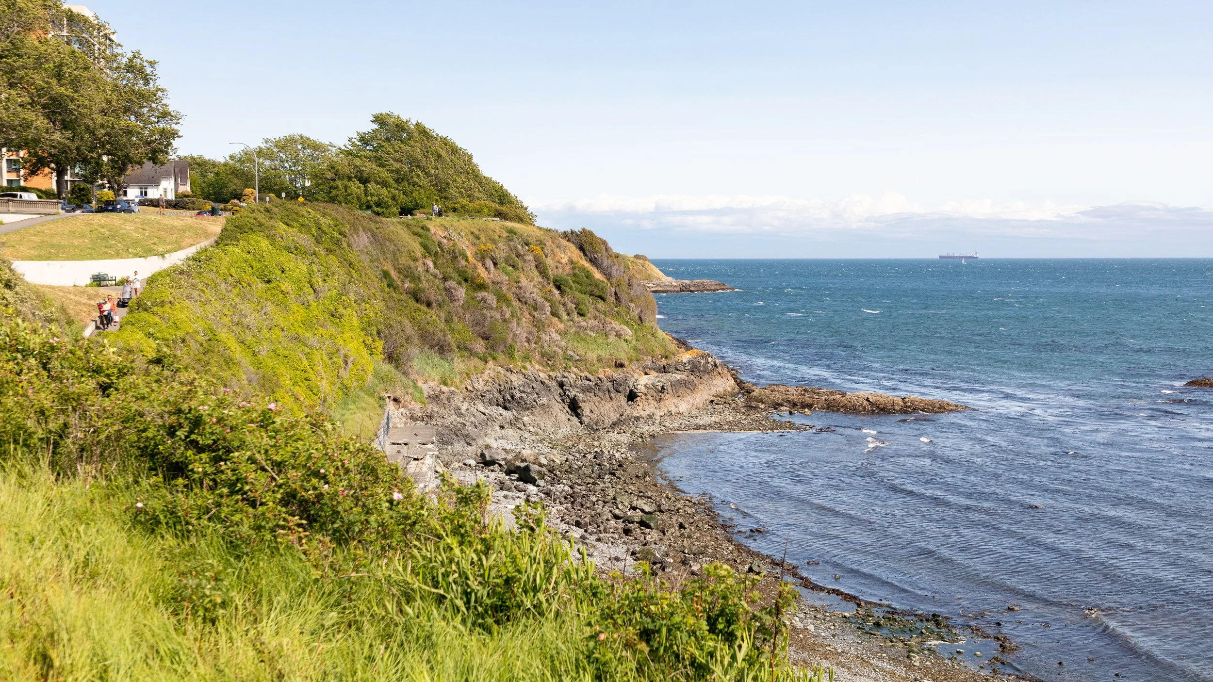  Ross Bay Beach 