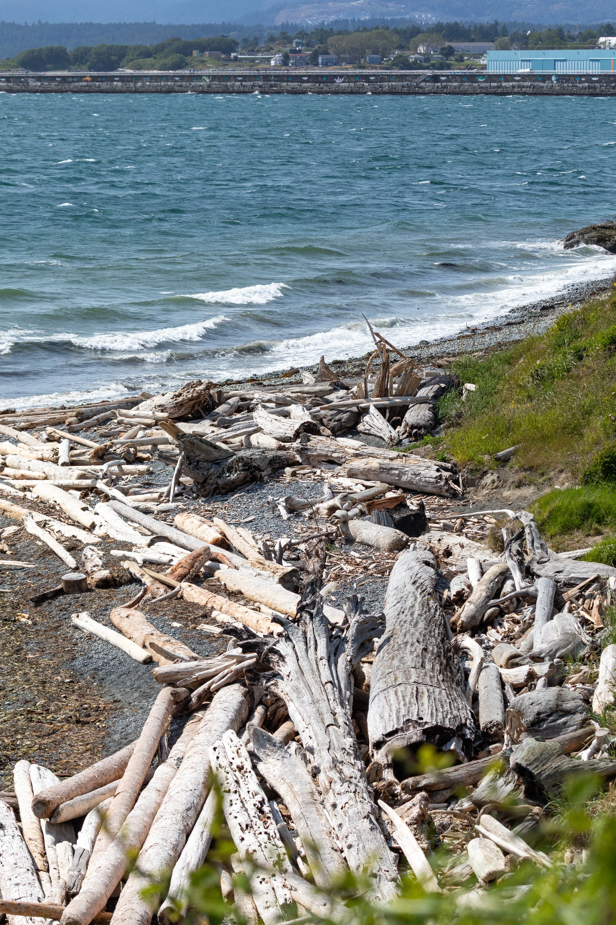  Some white caps on Juan de Fuca Strait 