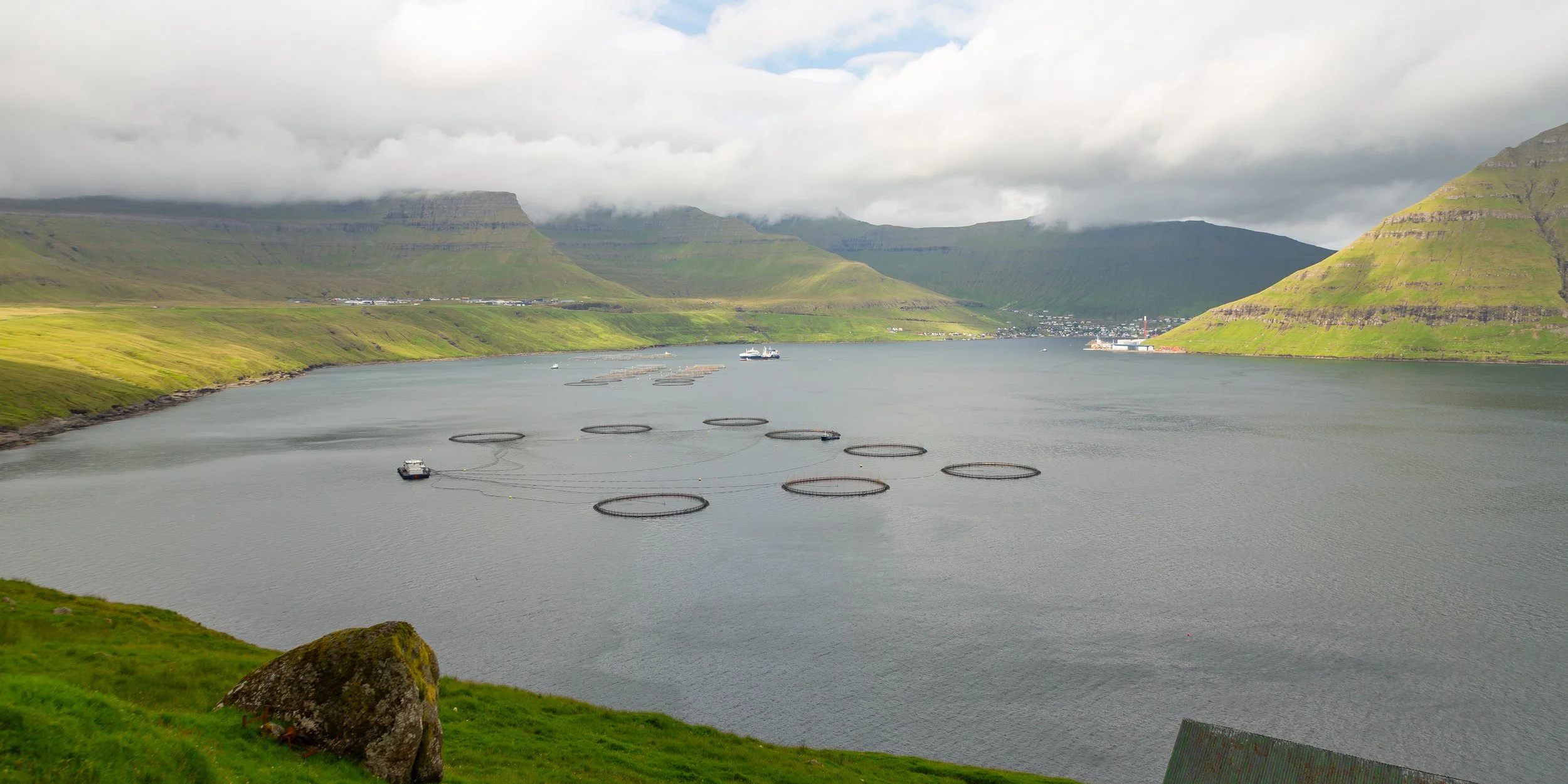  Looking across the fjord to Fuglafjørður, a village whose name means "fjord of birds", with the salmon farms set in the bay 