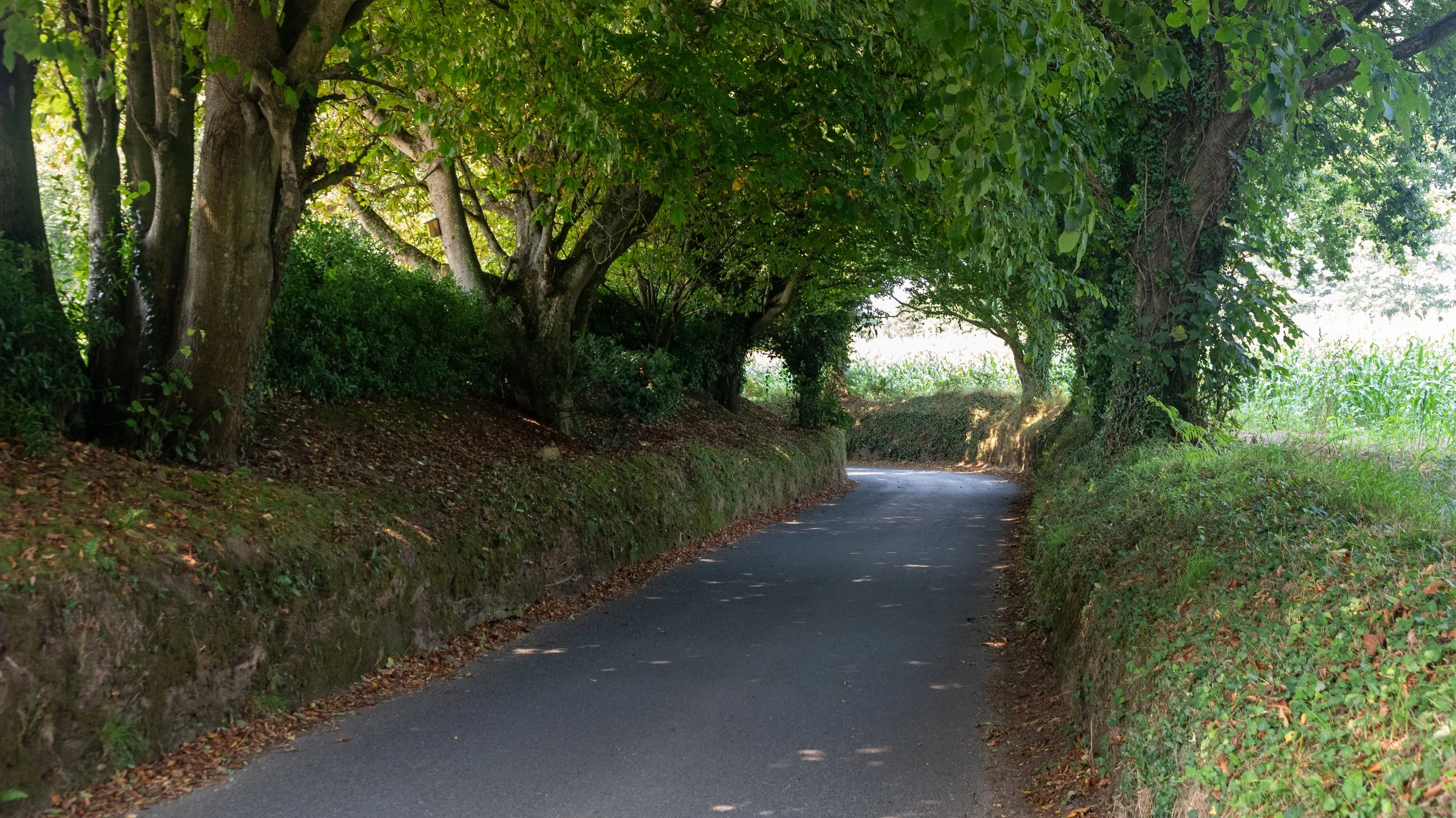  Happy to be walking rather than trying to drive the narrow laneways 
