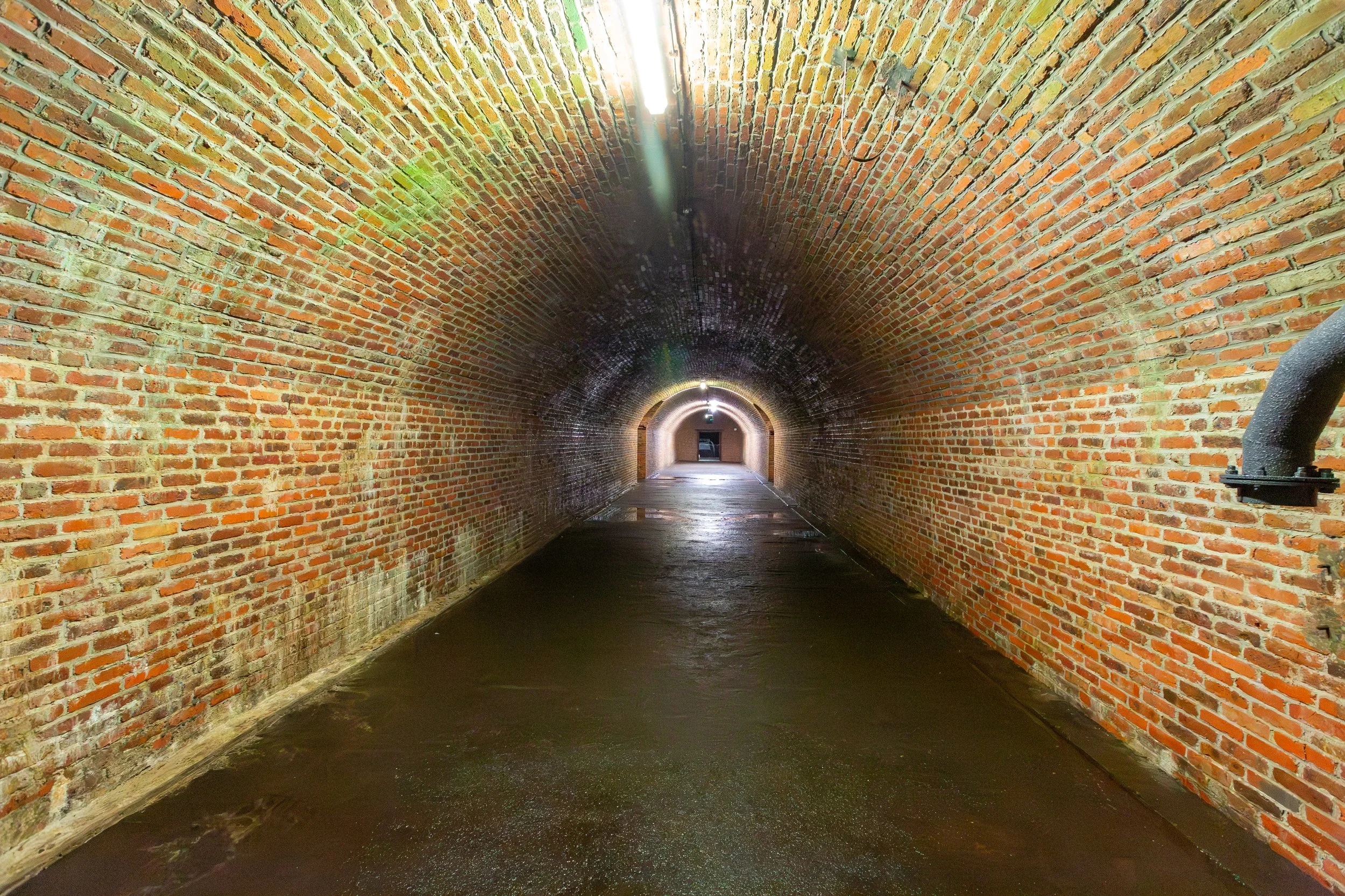  Well preserved but still very damp 