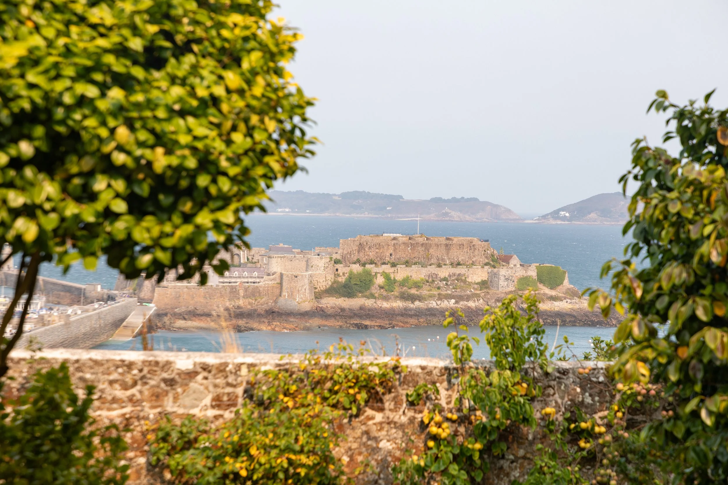  View of Castle Cornet and the harbour from the house gardens  