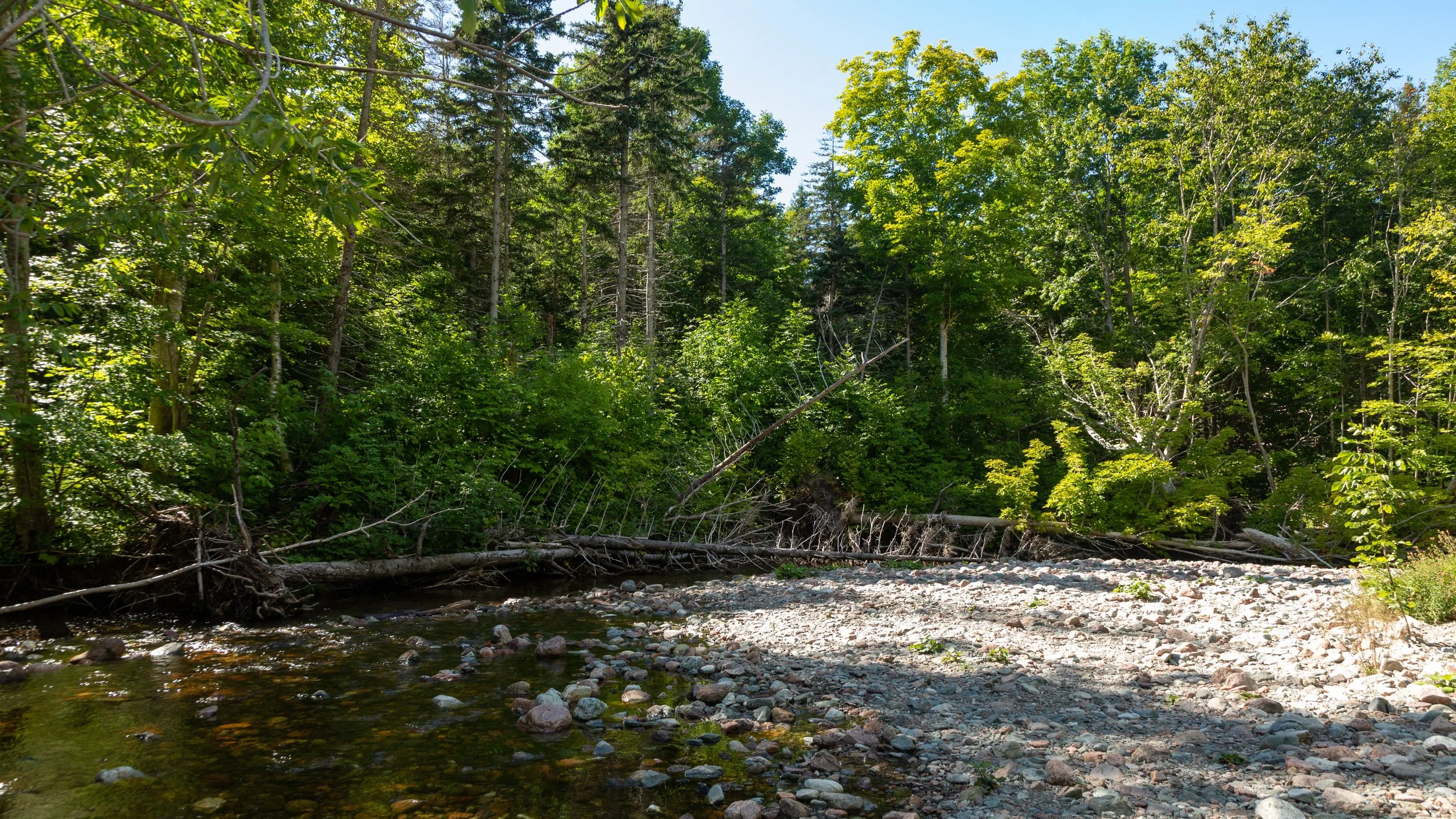  Our short hike takes us by the Grand Anse River 