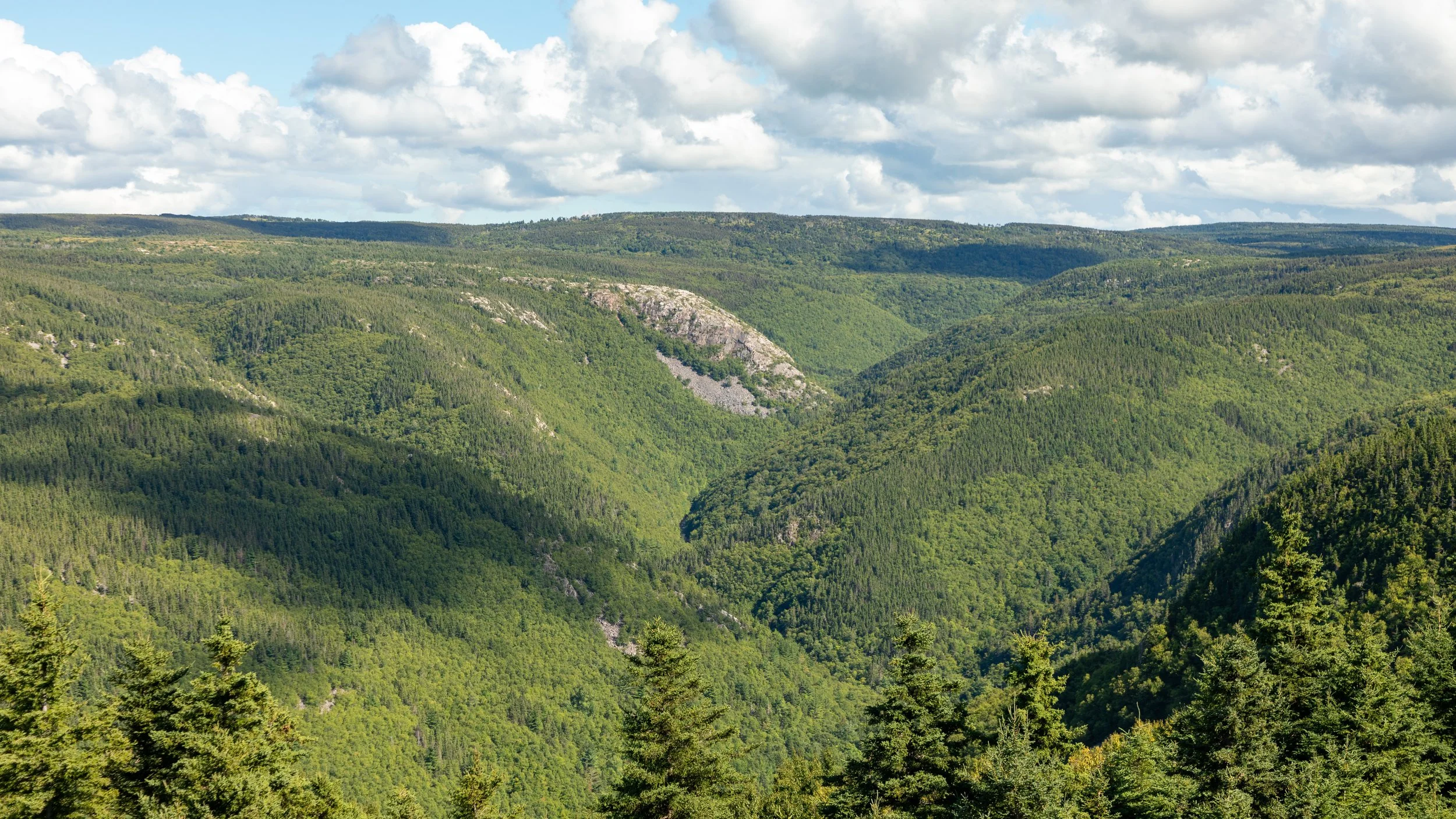  Getting a little further form the coast, still scenic views of the mountain valley 