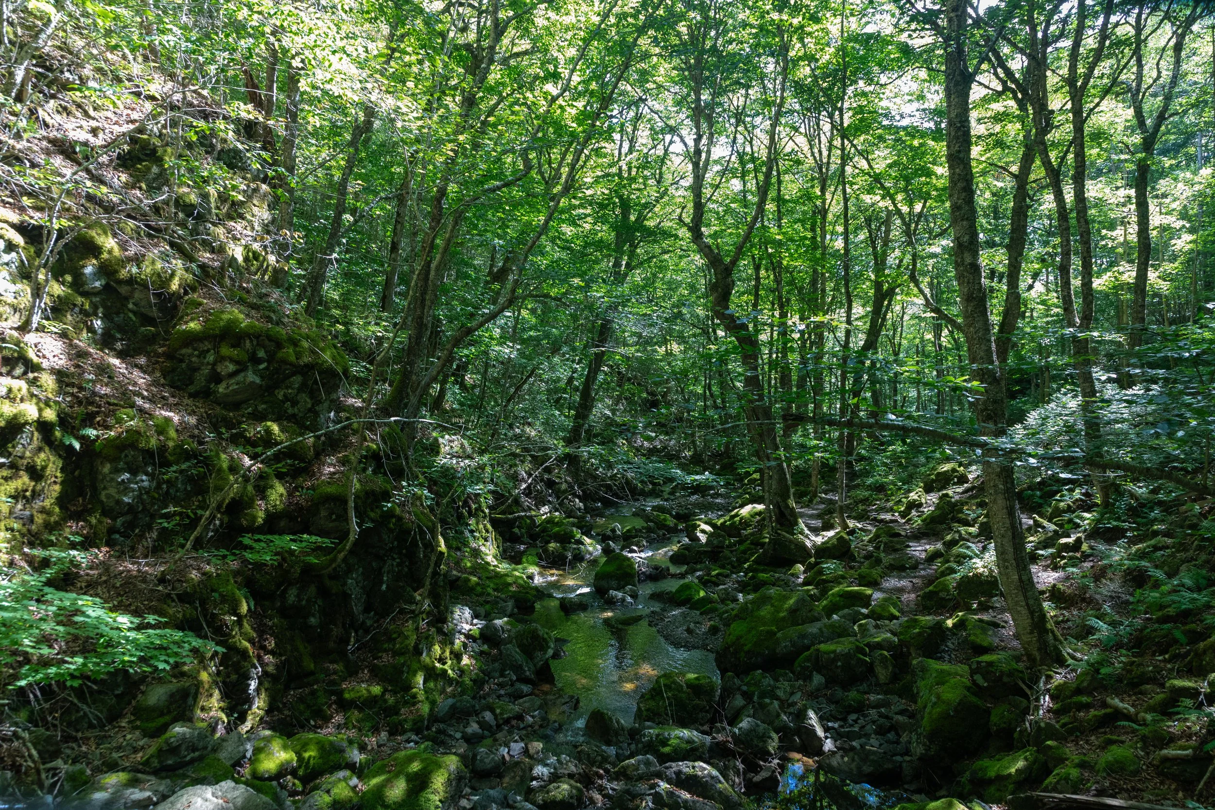  The trail got a little more complicated as we got closer to the falls 