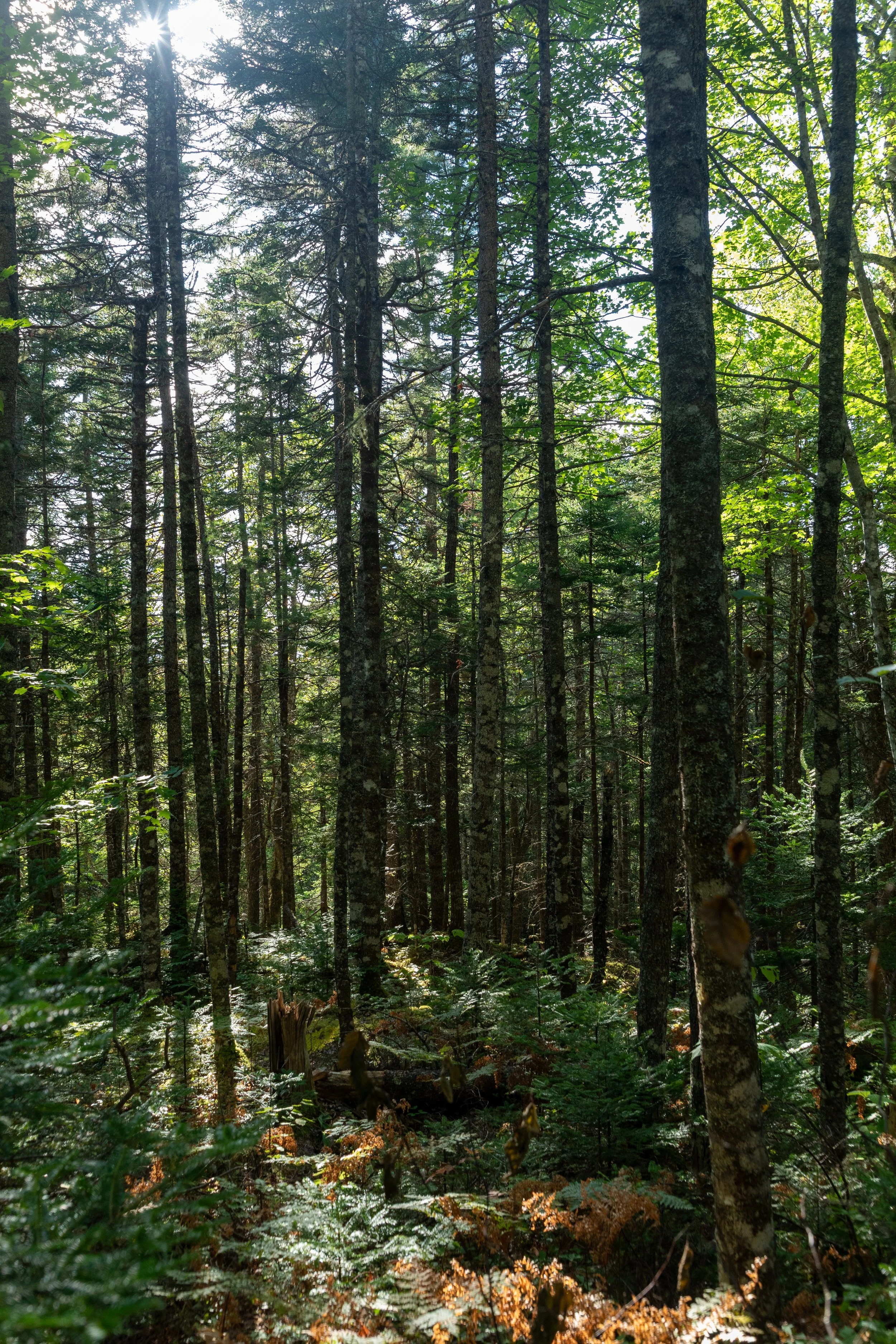  Finishing our short hike, we then headed back to the join the family at the Airbnb 