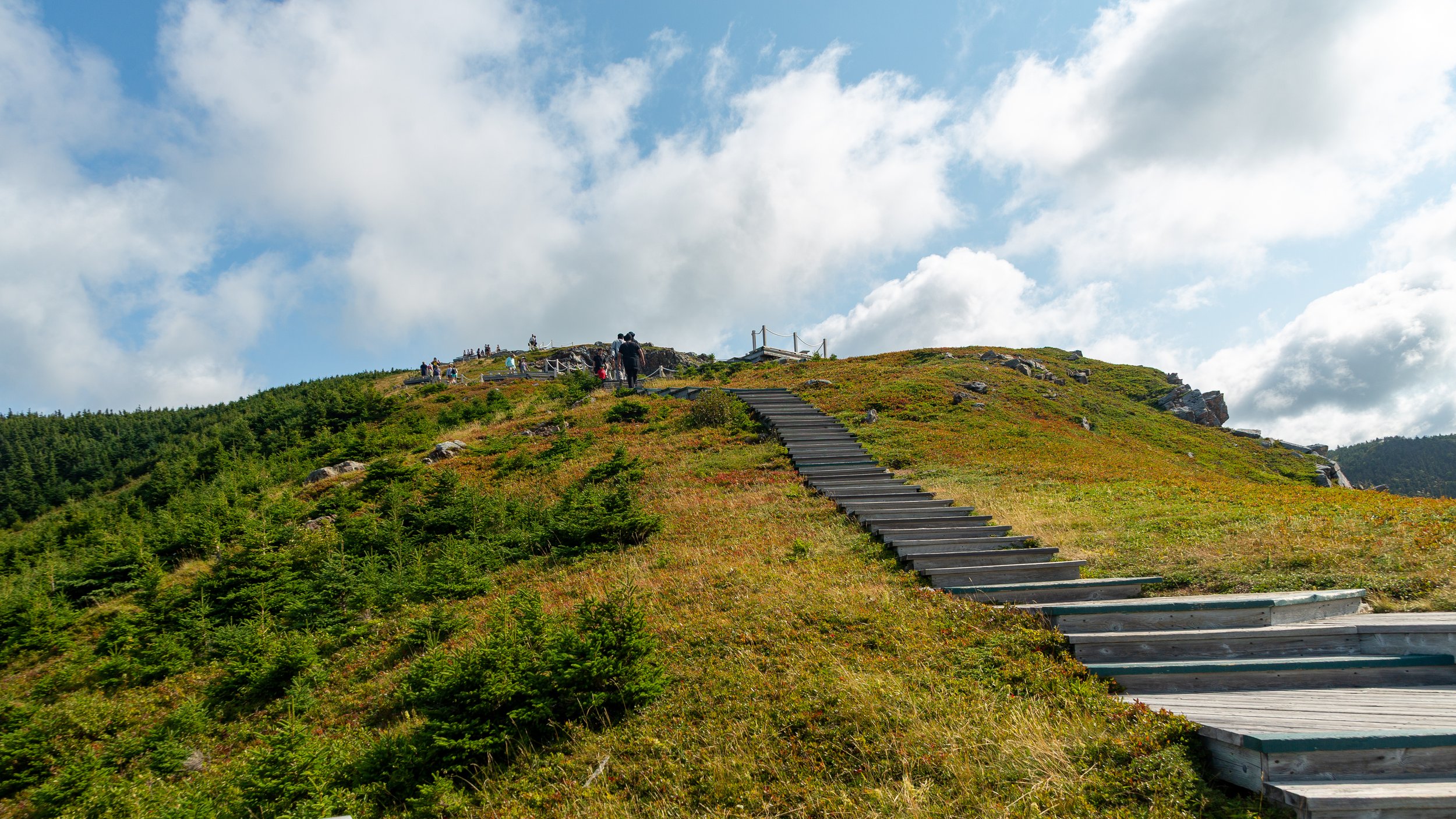  Making our way back up the trail to complete our loop 