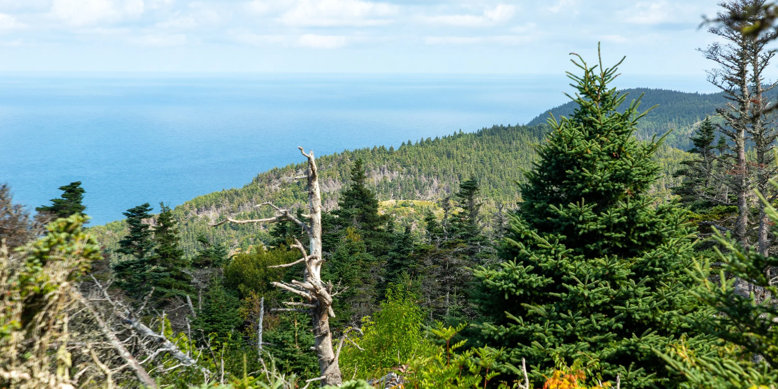  Looking up the coast away from the highway as the trail loops back  