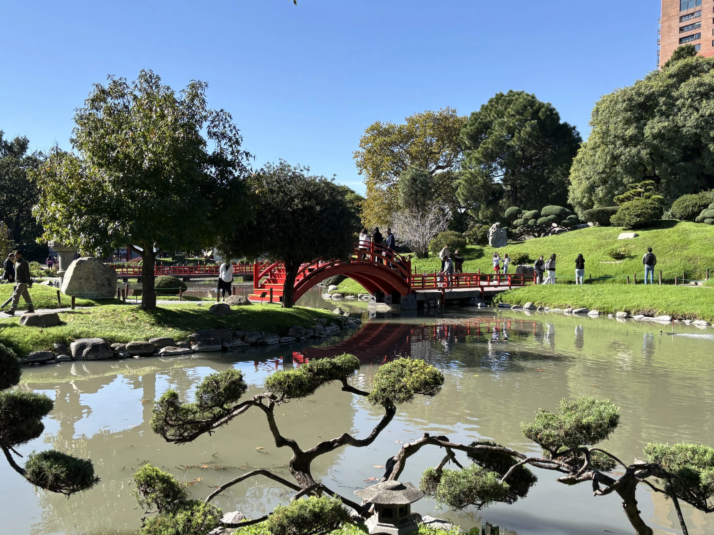  Traditional bridge over a pond with koi fish 