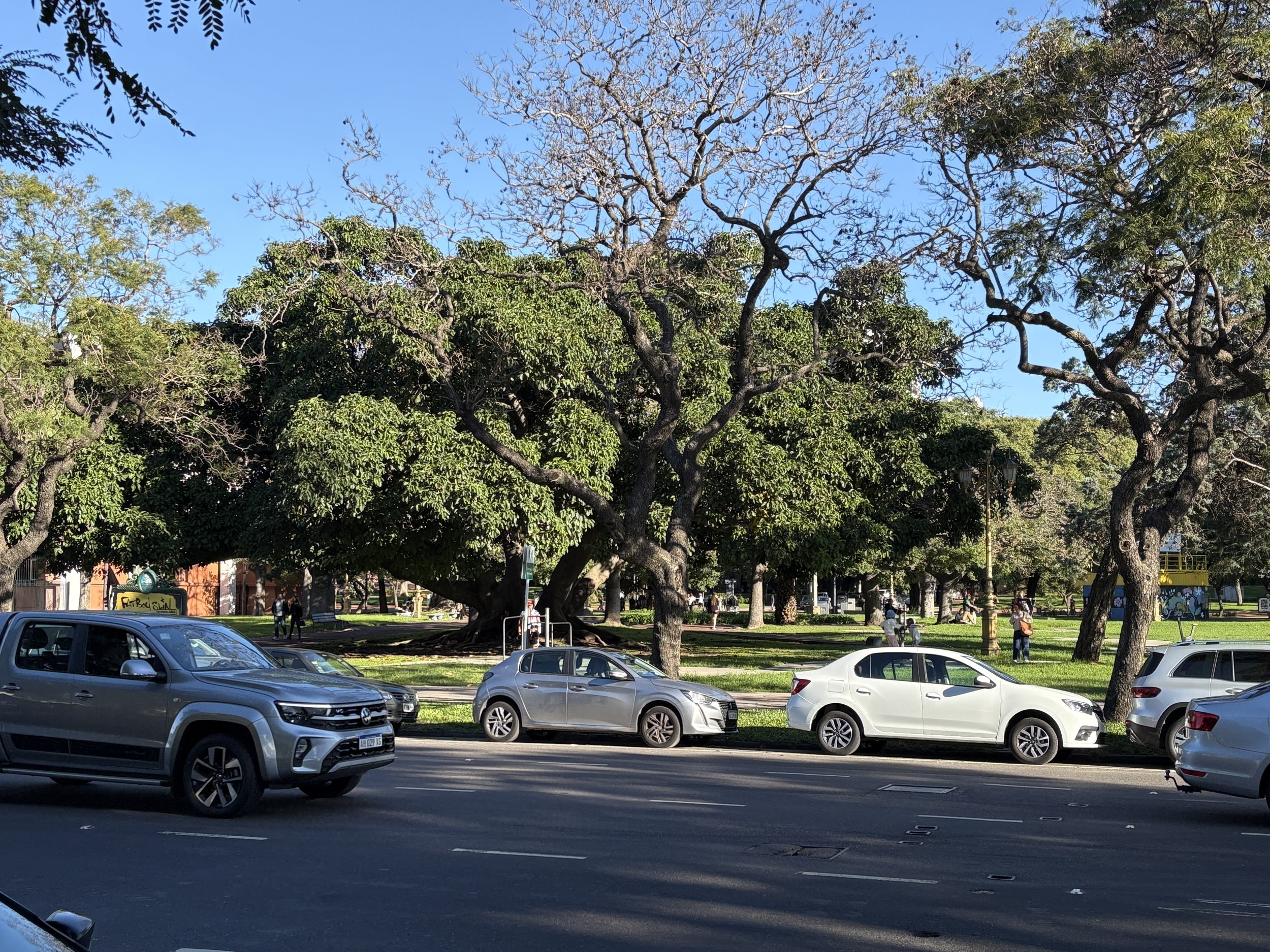  Plaza Ruben Dario - on our first trip to Argentina, we walked under this tree towards the sculpture and were targeted by pickpockets with a squirt gun mimicking bird droppings, in a thankfully unsuccessful attempt at distraction robbery 