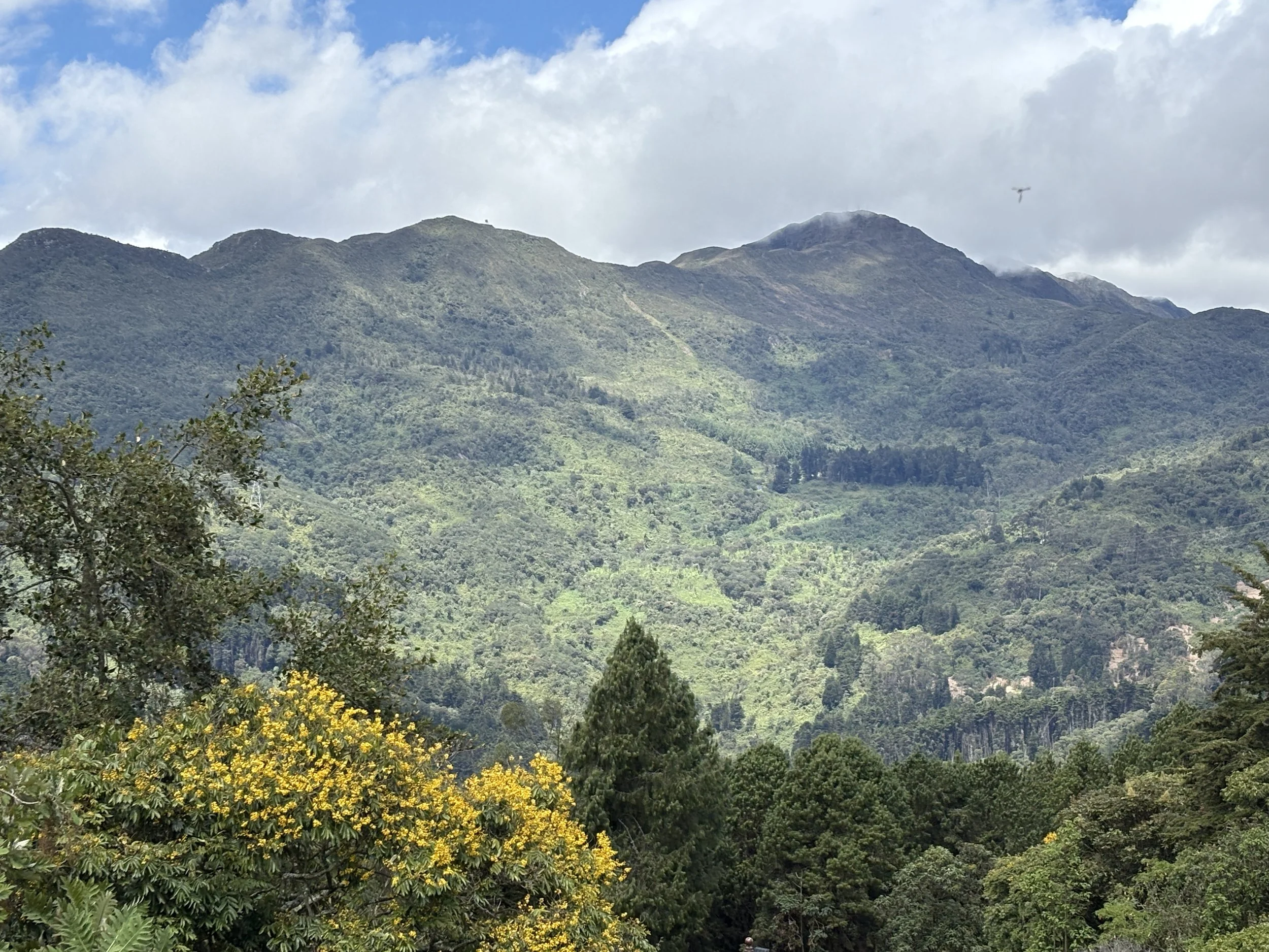  Beautiful scenery surrounds, after riding the cable car up Monserrate mountain  