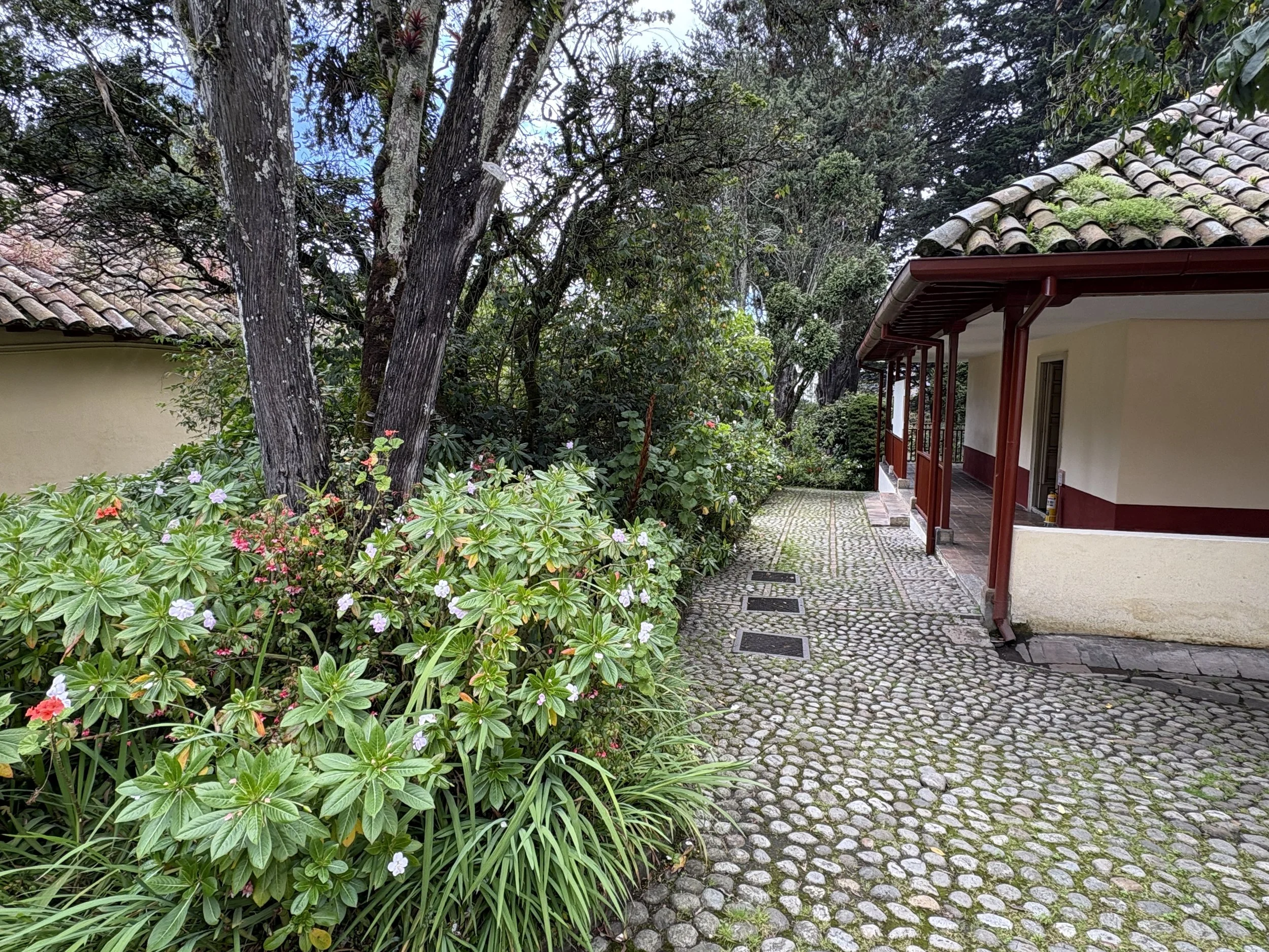  The gardens and exterior of the historic houses 