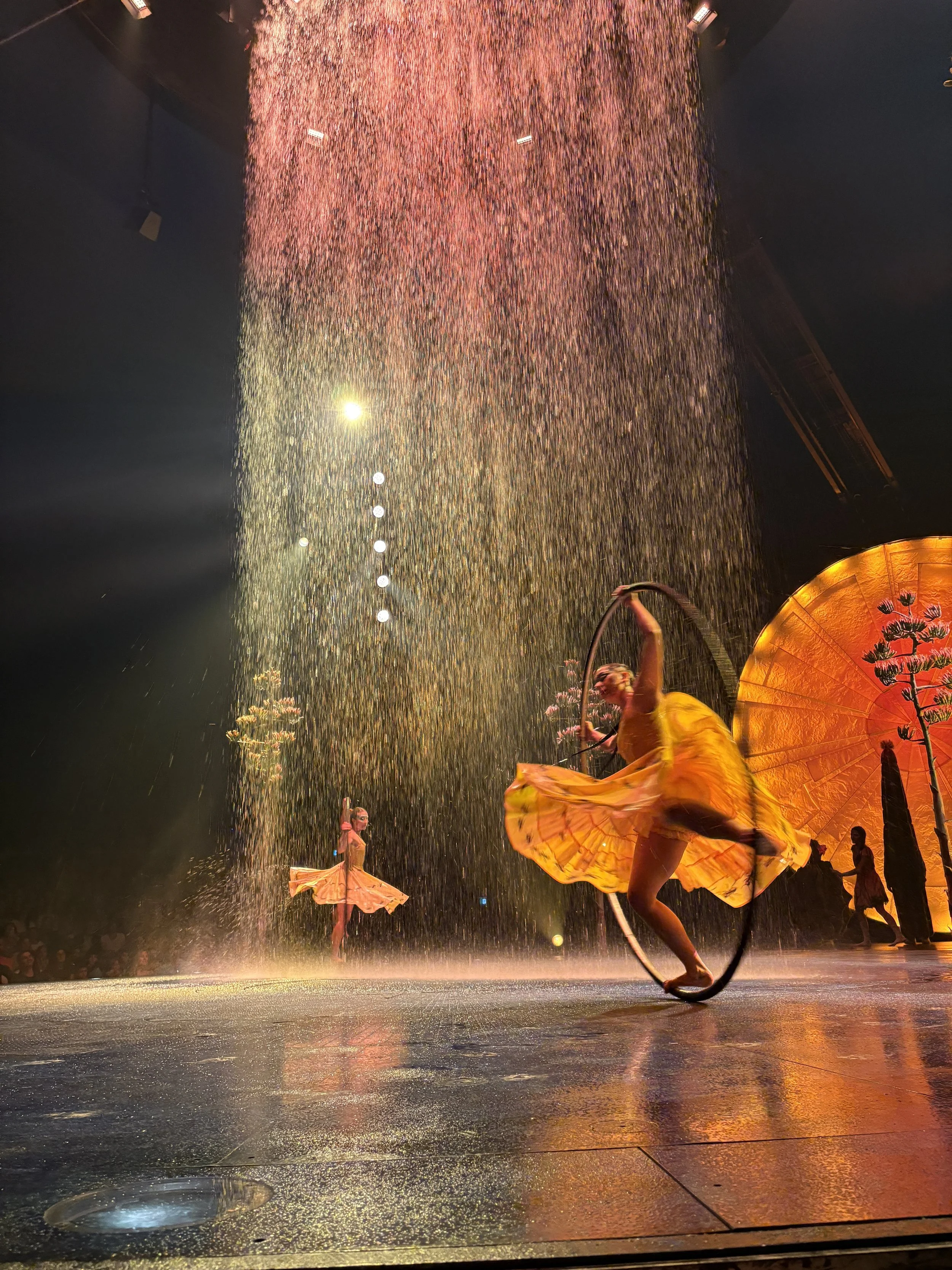  The water feature was unique to this traveling Cirque show 