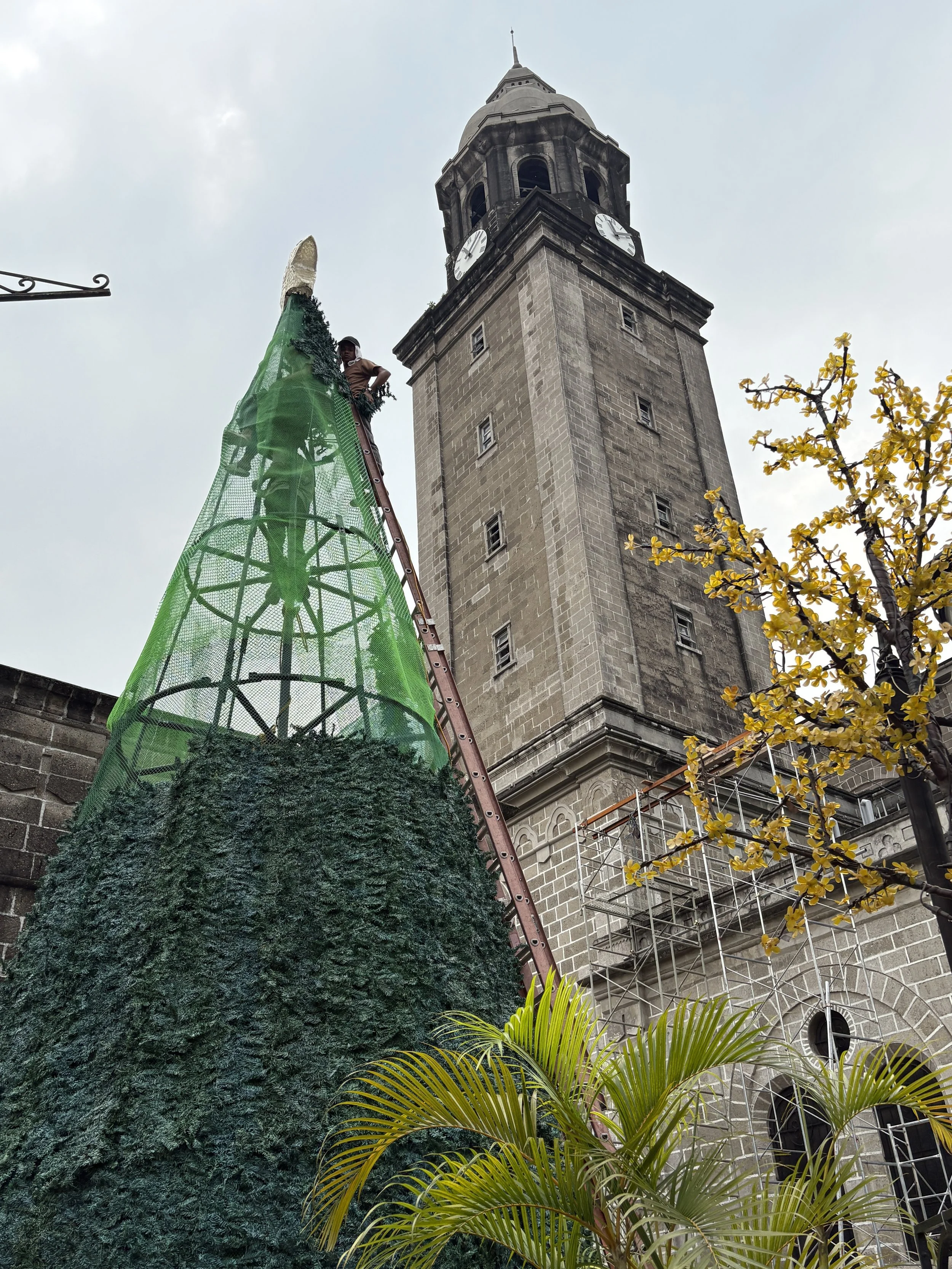  Preparing Christmas decorations outside the cathedral 