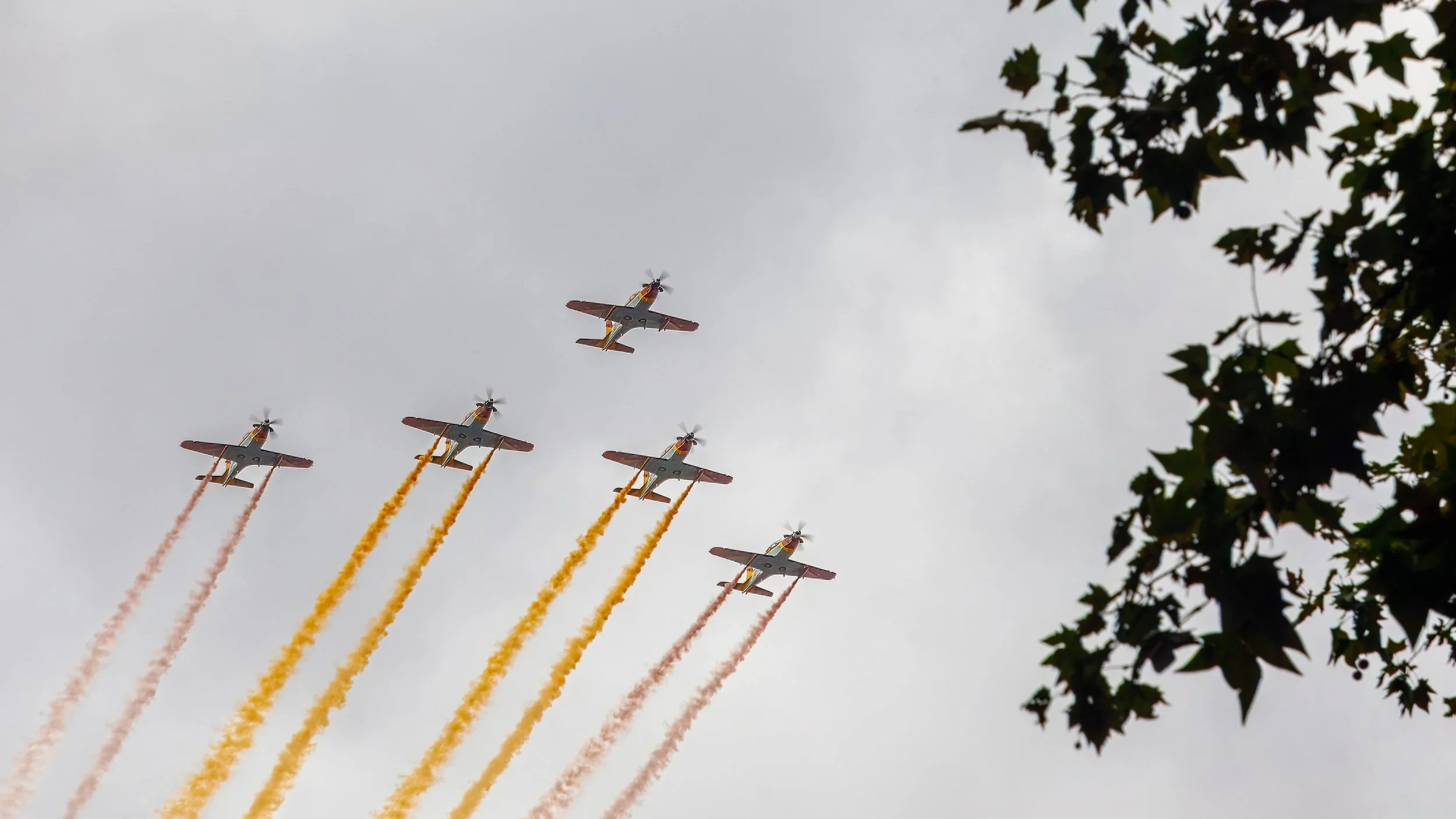  Showing off the Spanish colours 