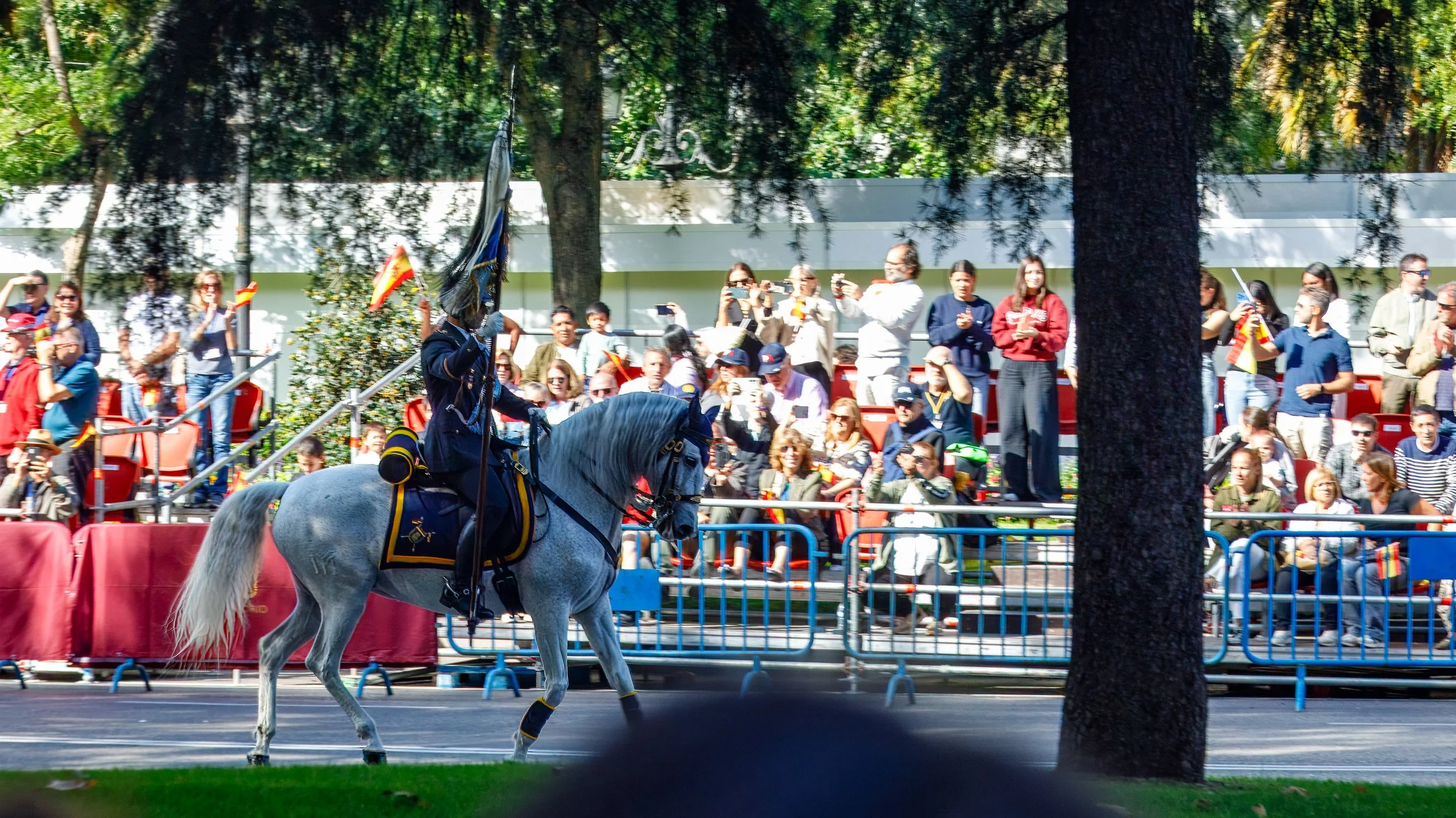  For practical reasons, the horses were at the end of the parade 