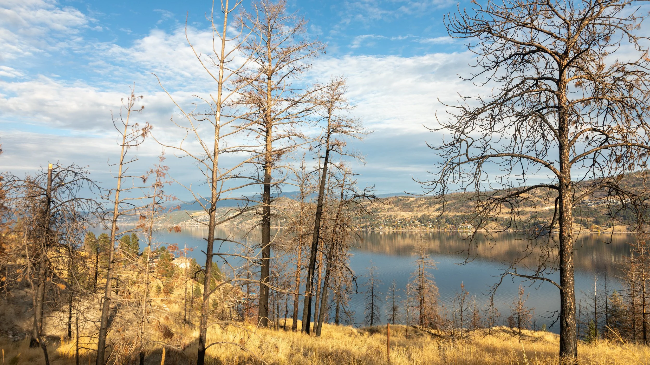  The 2023 West Kelowna fire damage was still very much present  