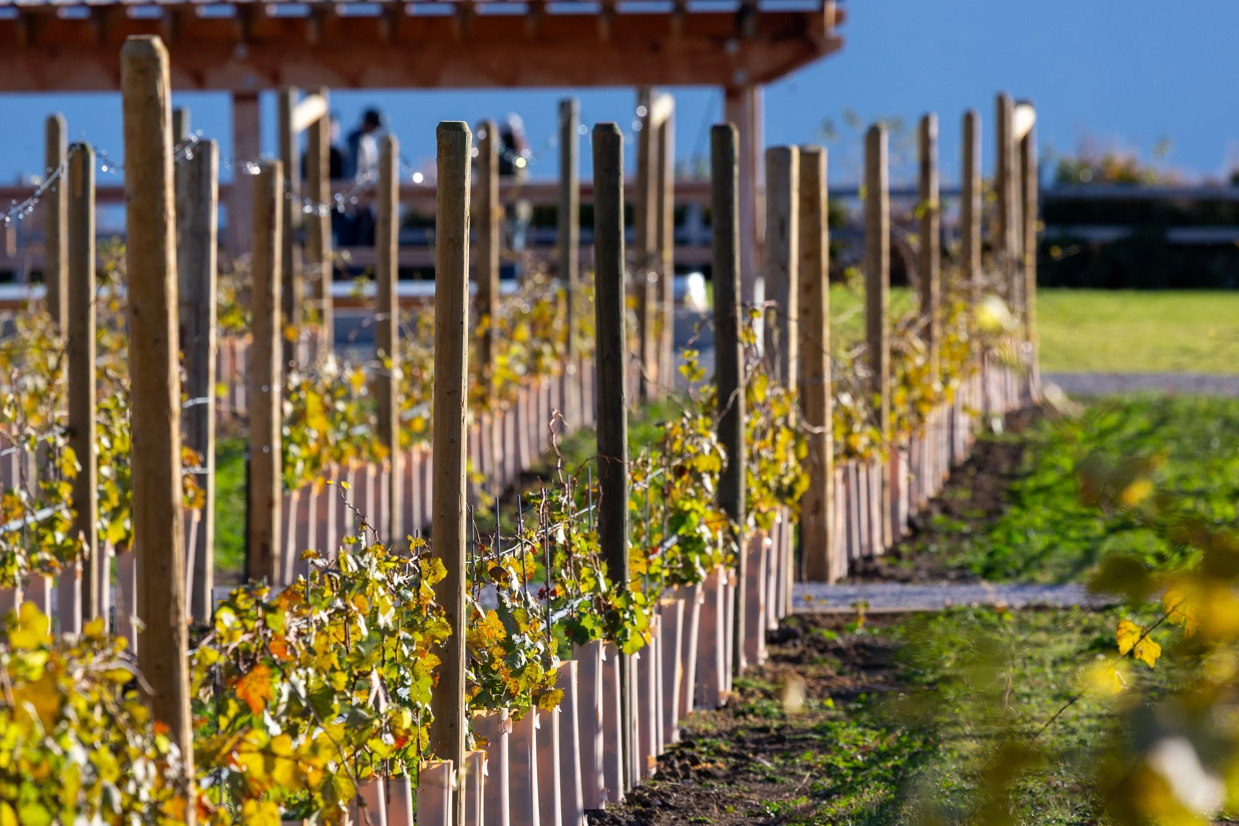  Before our wine tasting, we explored the property a little further 