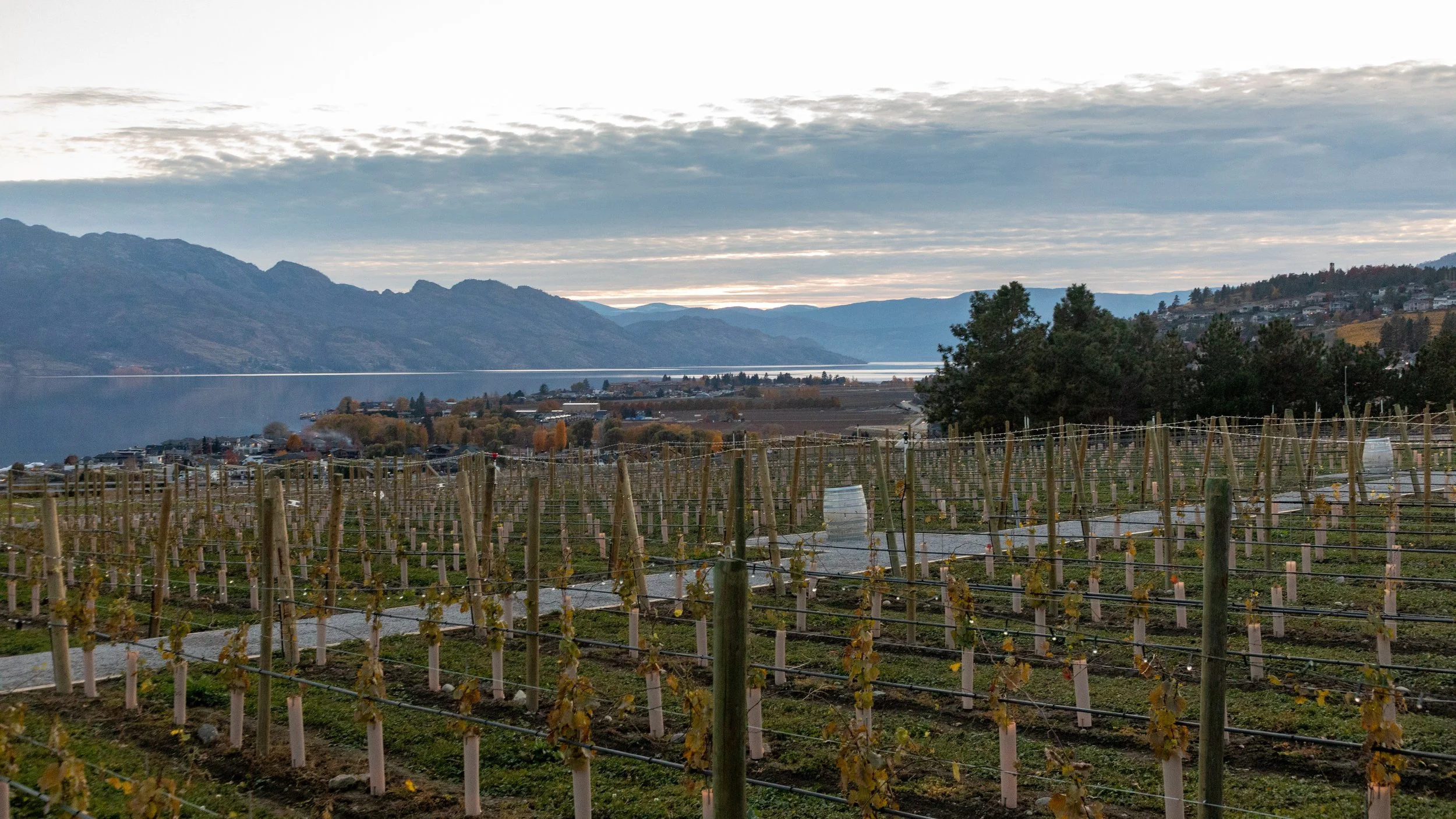  After a great happy hour at the restaurant, we had a last look before heading back to the hotel with a new bottle of wine 