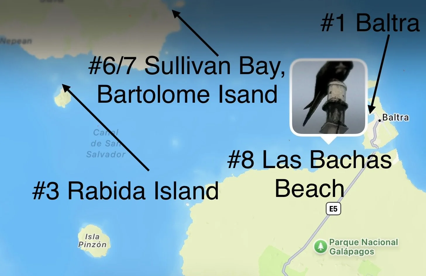  We anchored not too far from we were the day before and close to the start of our trip, this time to visit Las Bachas Beach 