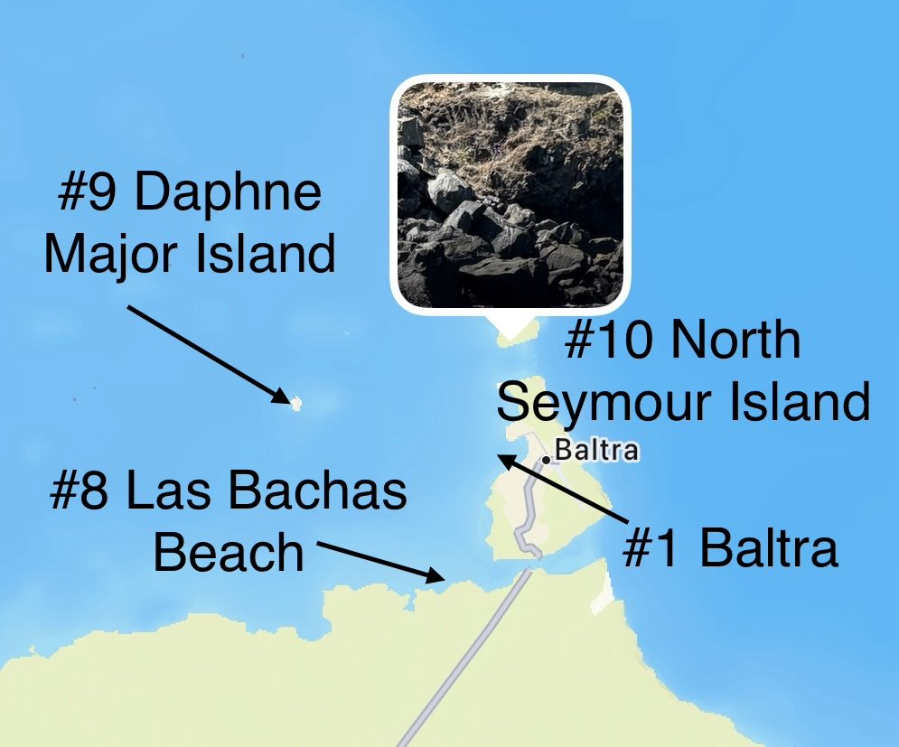  Later in the afternoon we anchored offshore from North Seymour Island to transfer for a dry landing 