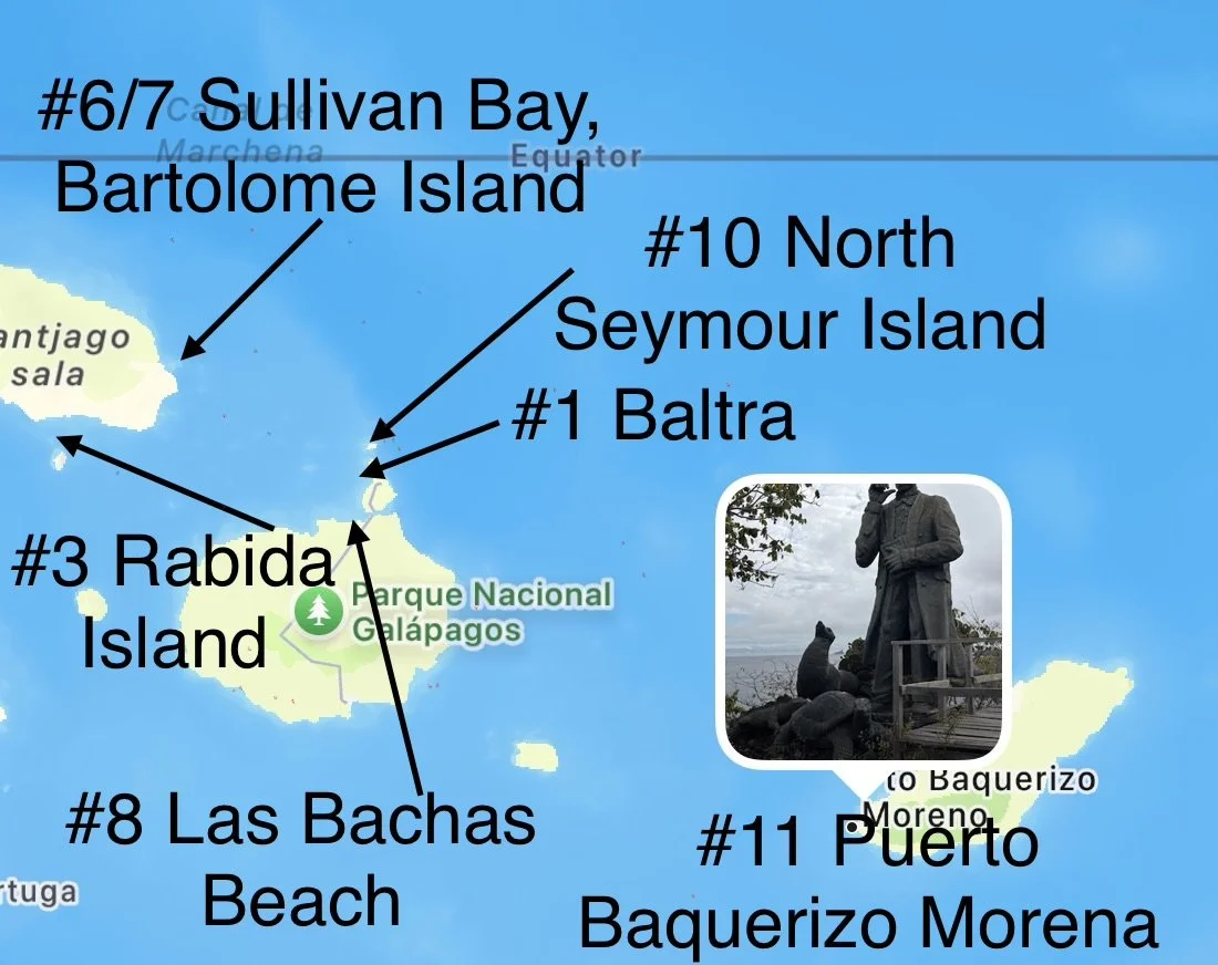  One of our longer sailings brought us to the south coast of San Cristobal 