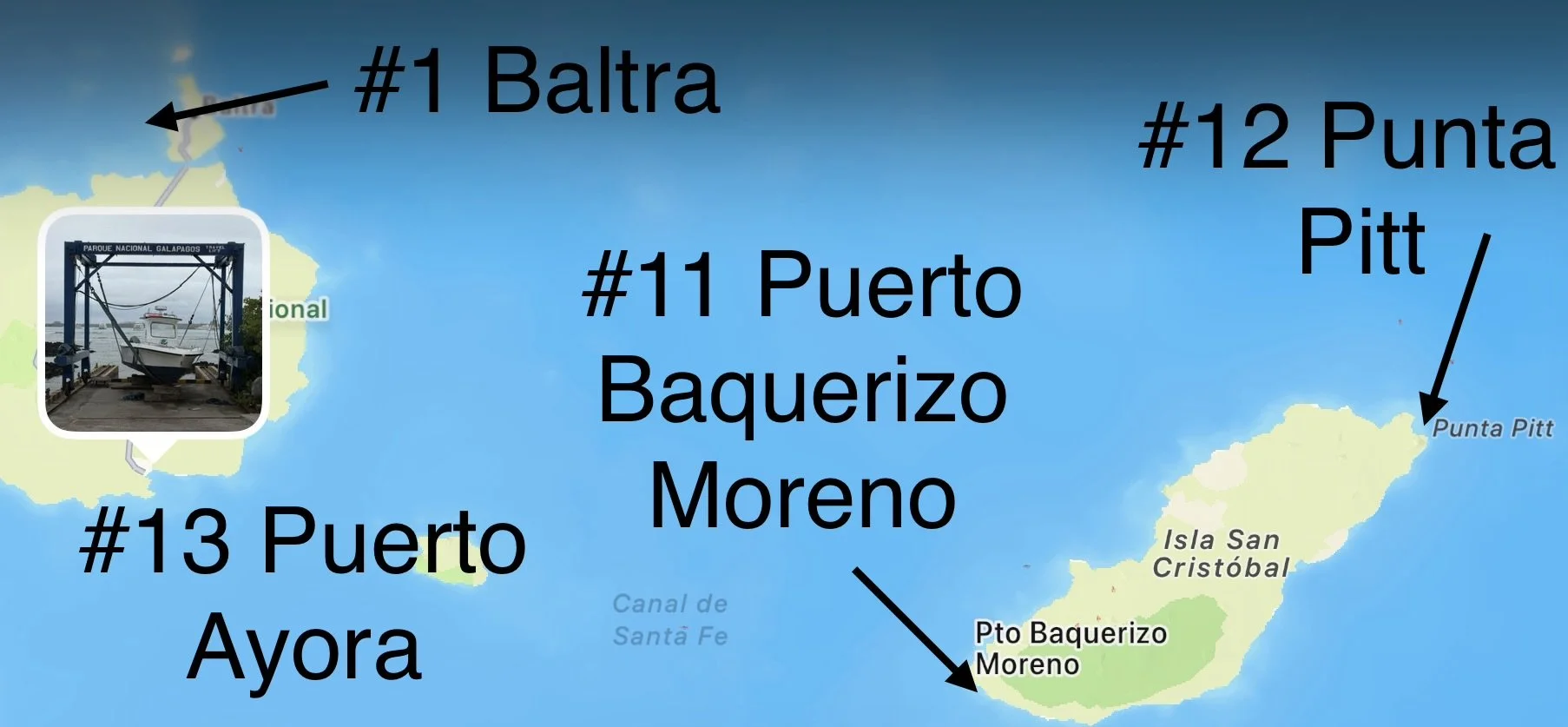  Overnight we’d made it Puerto Ayora on the southern coast, opposite to Baltra where the airport is 