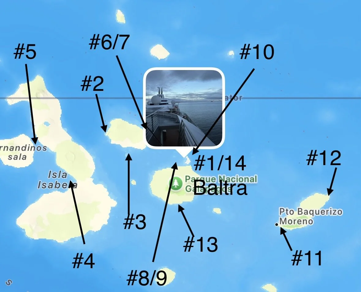  Back at Baltra, recapping our stops we’d covered in seven days 
