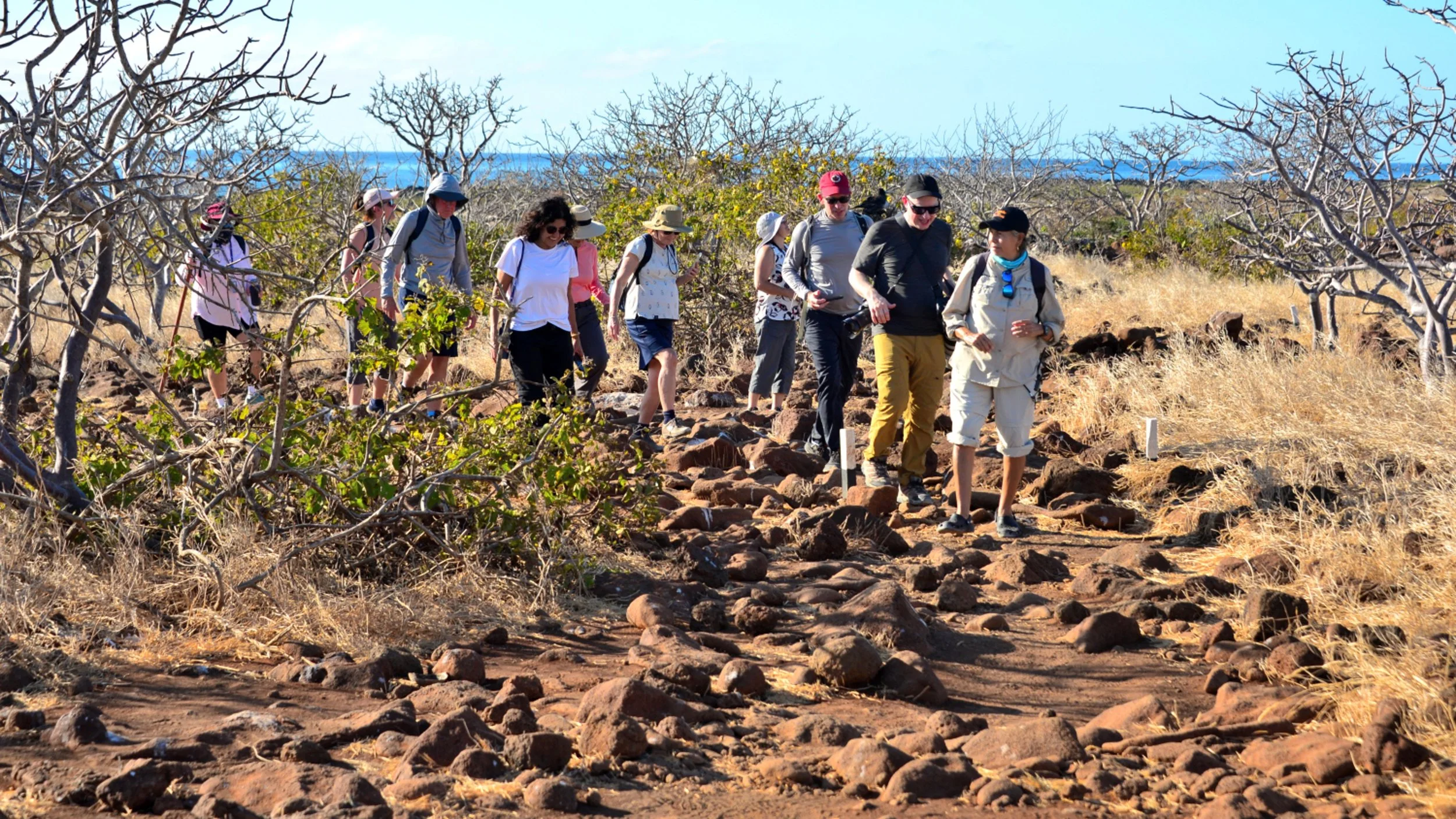  Our guide always with us made sure we respected the nature and observed all that is around us 