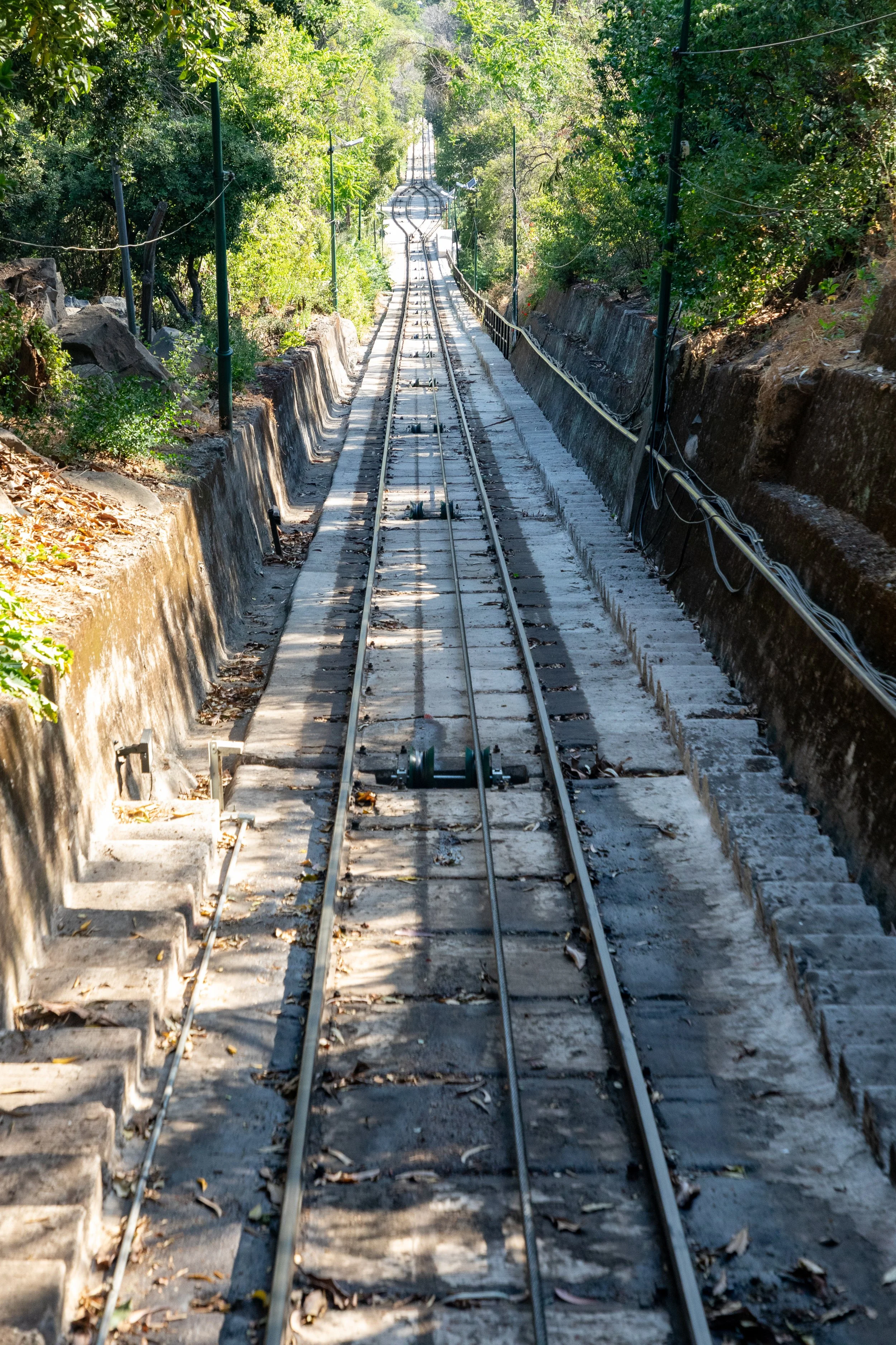  Looking down the track 