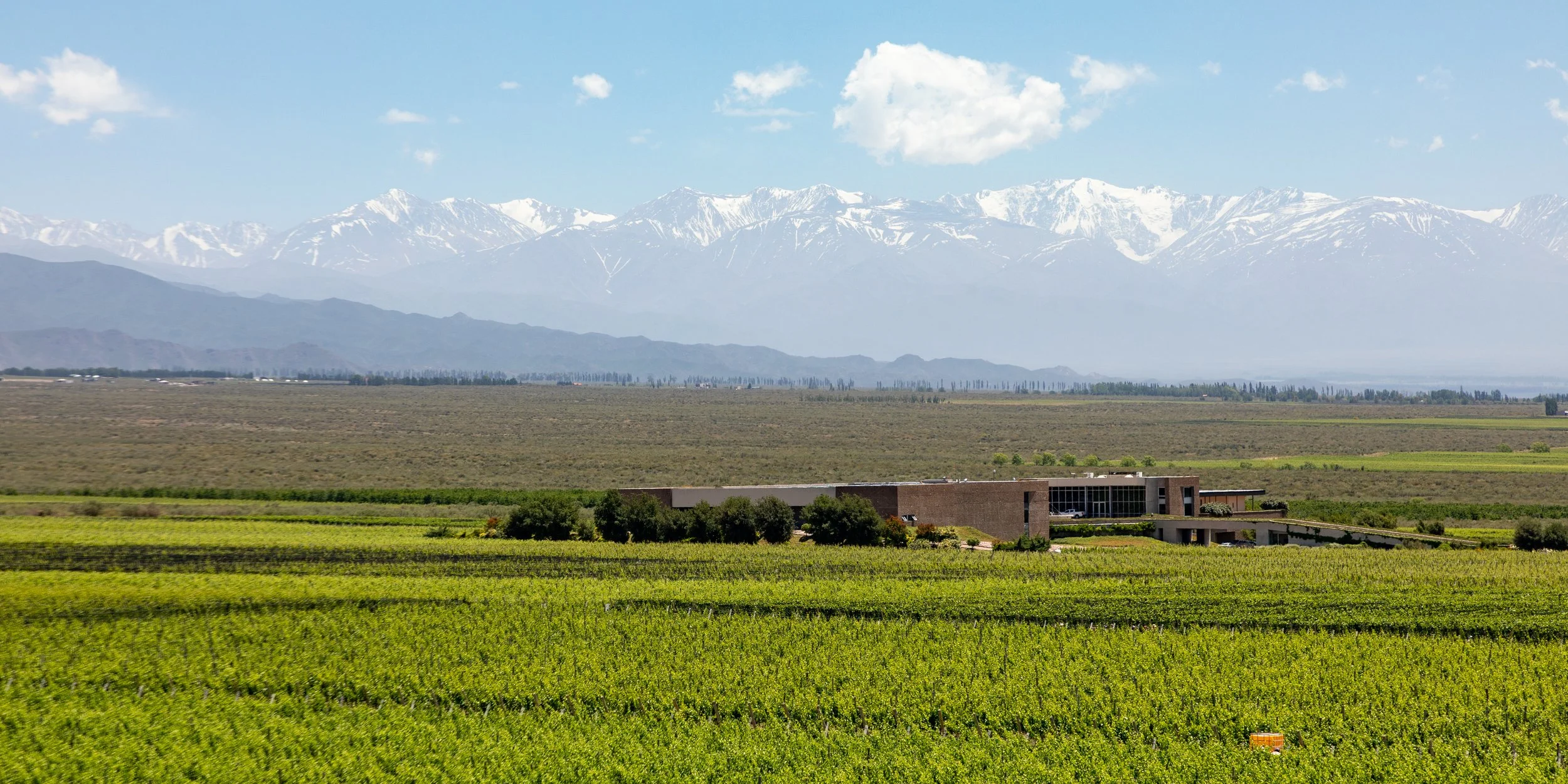  Another winery in the same region 