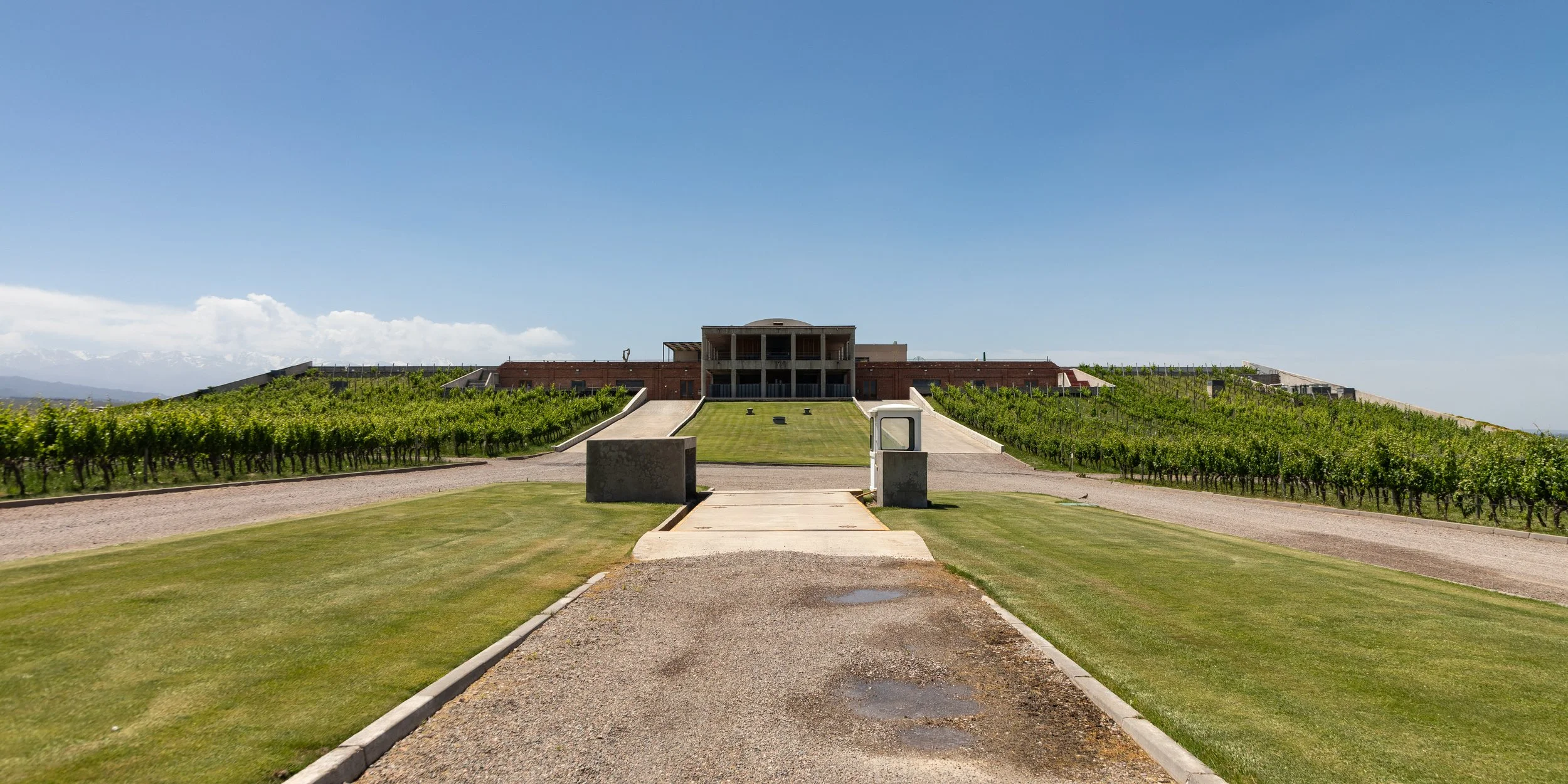  Looking back at the winery you can see the vines planted on the sloped roof 