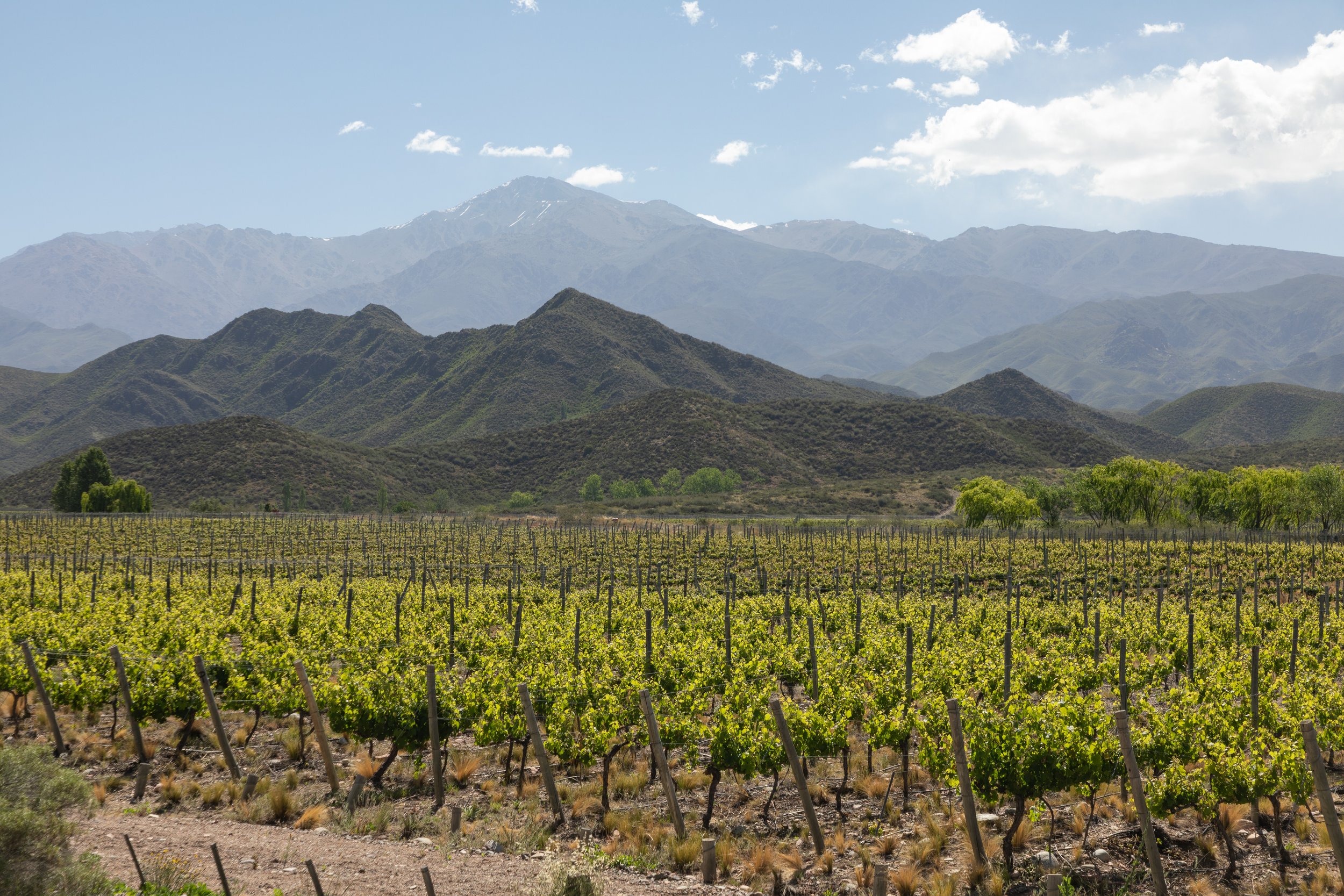  Andes with fewer snow caps 